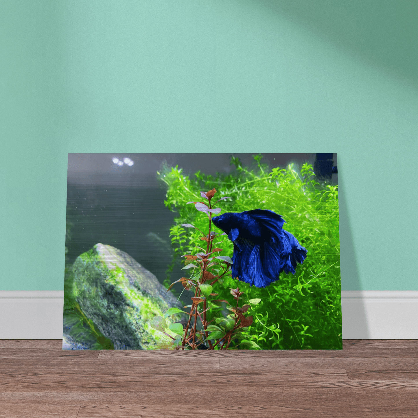 Bettakun Brushed Aluminum Print