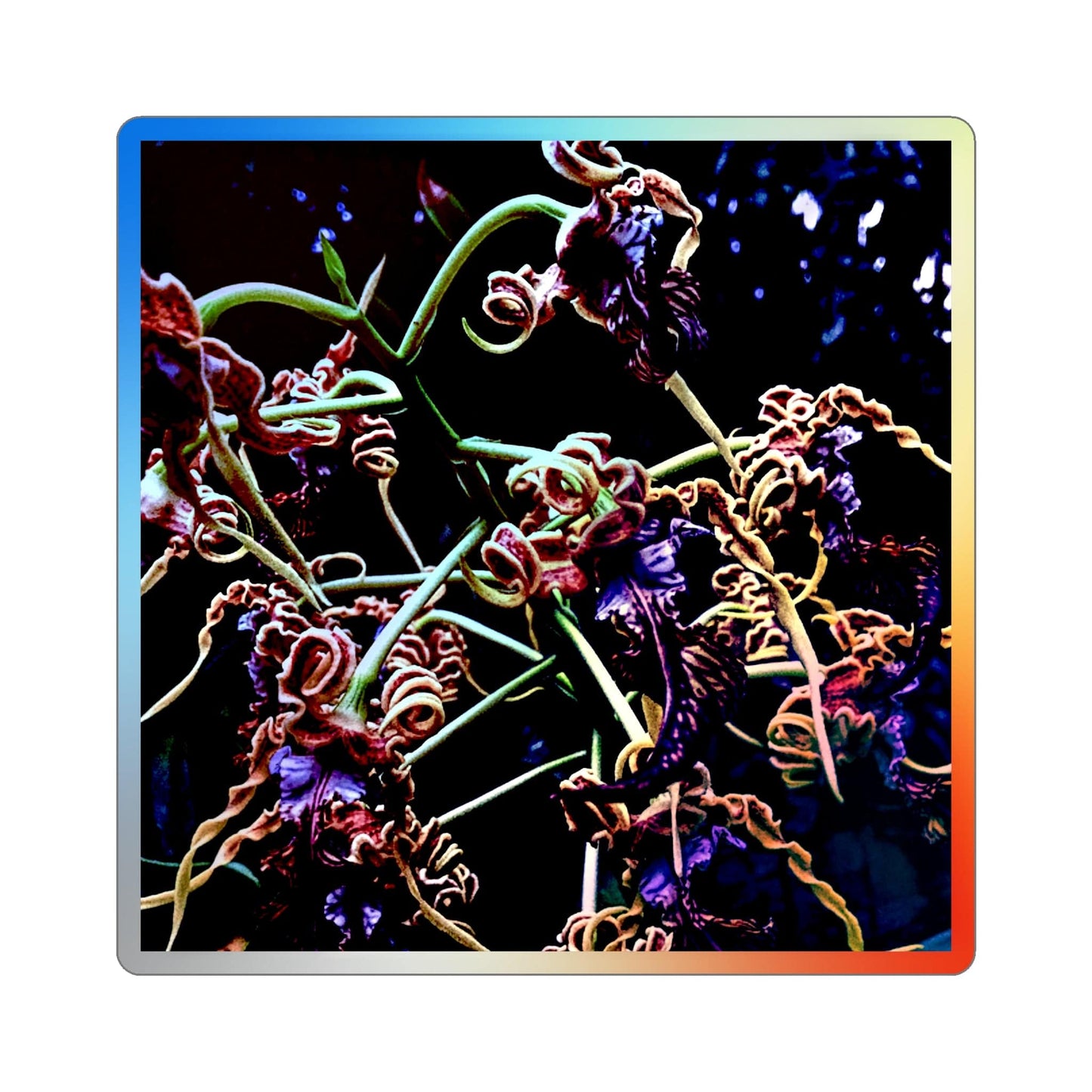 Orchidia Holographic Die-cut Stickers - PuyaVenusta