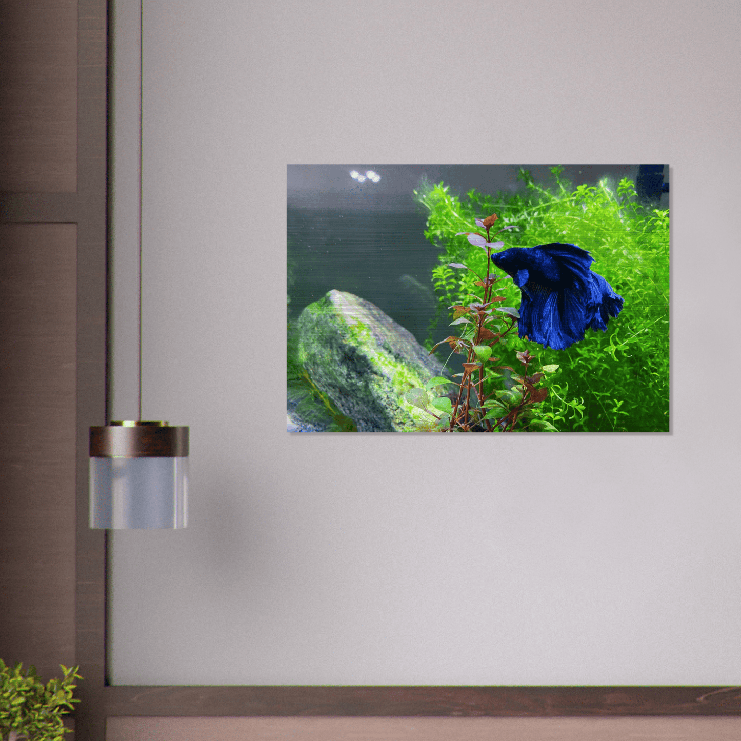Bettakun Brushed Aluminum Print