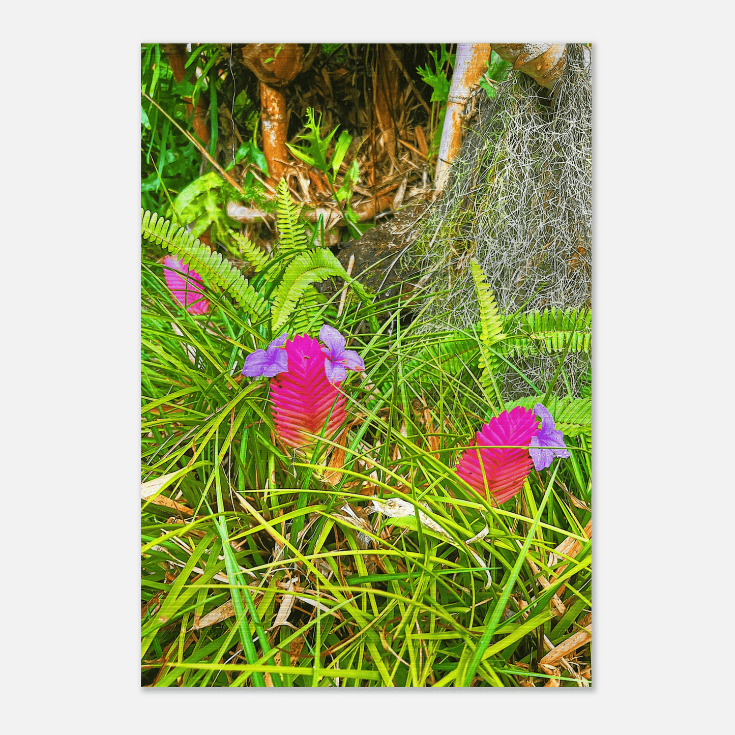 Triple Blossom Brushed Aluminum Print