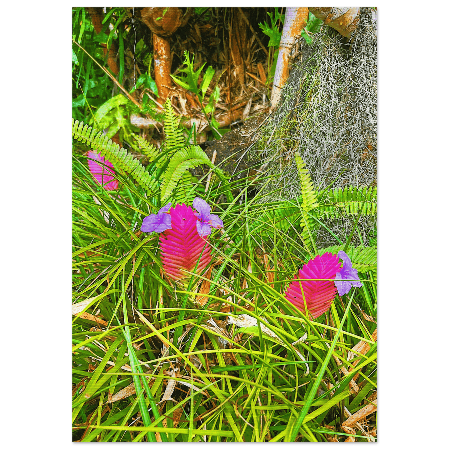 Triple Blossom Brushed Aluminum Print
