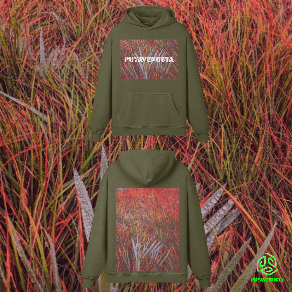 PUYAVENUSTA LOGO X SEA OF FIRE - PREMIUM COTTON HOODIE - PUYAVENUSTA