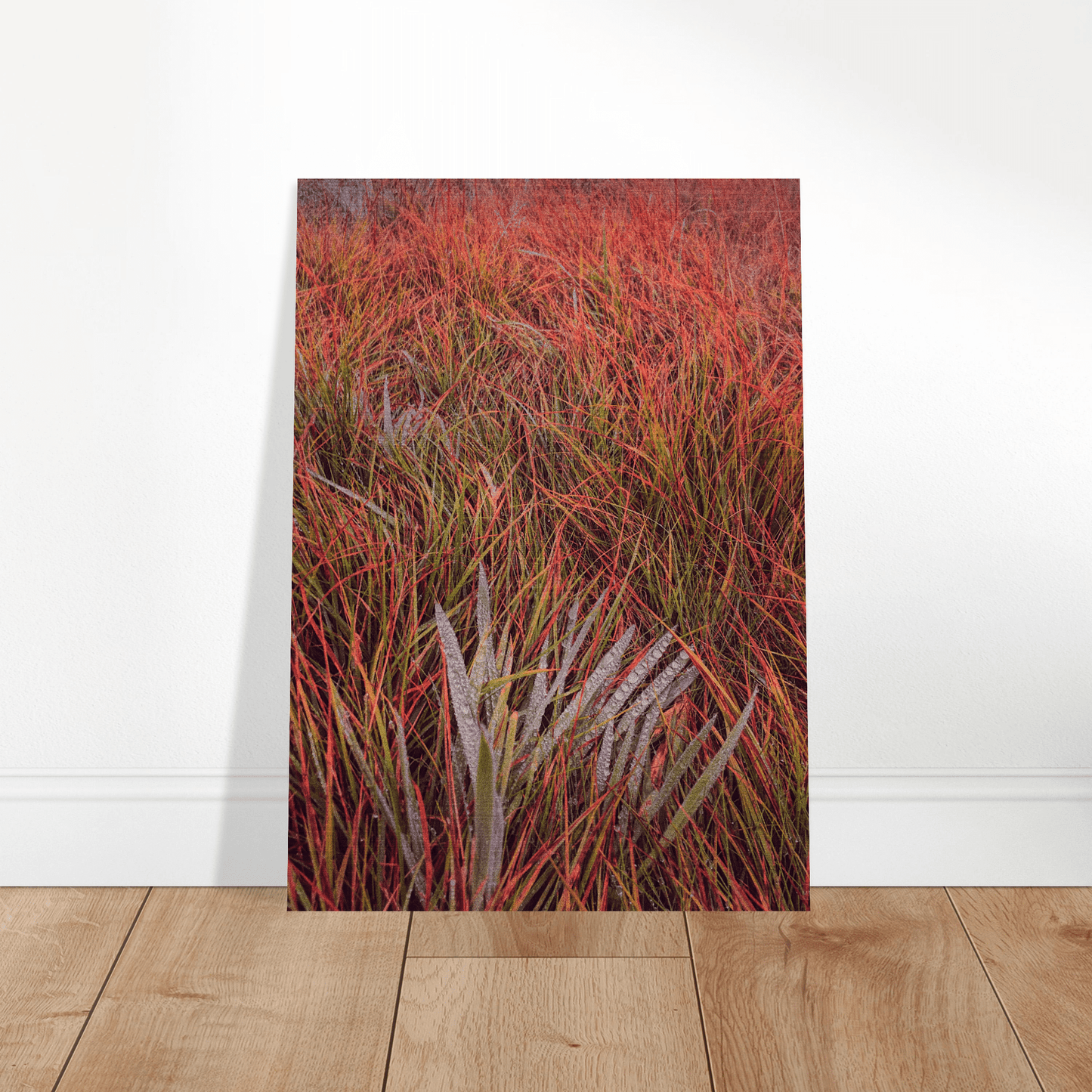 Sea of Fire Brushed Aluminum Print