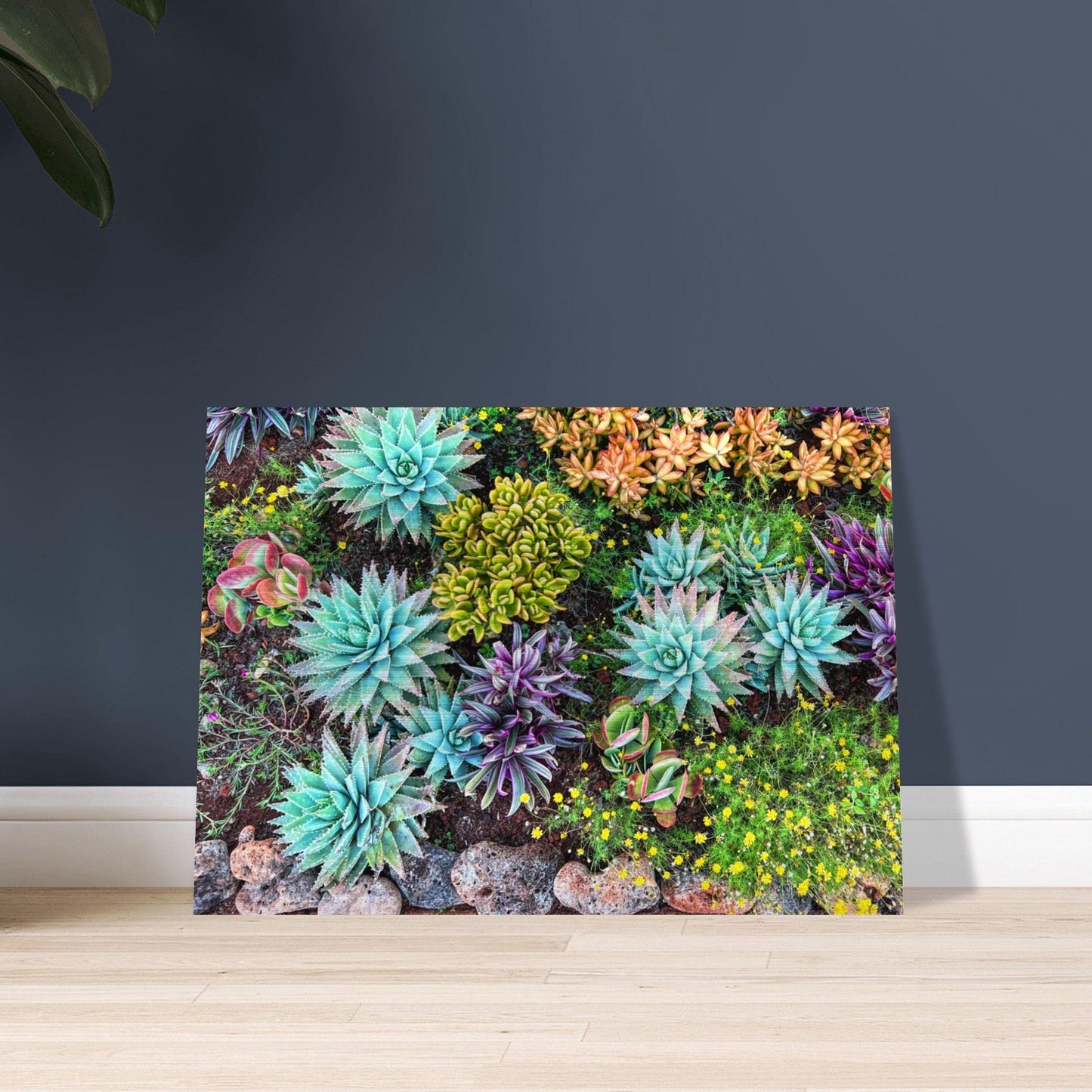 Cactus Mat Brushed Aluminum Print