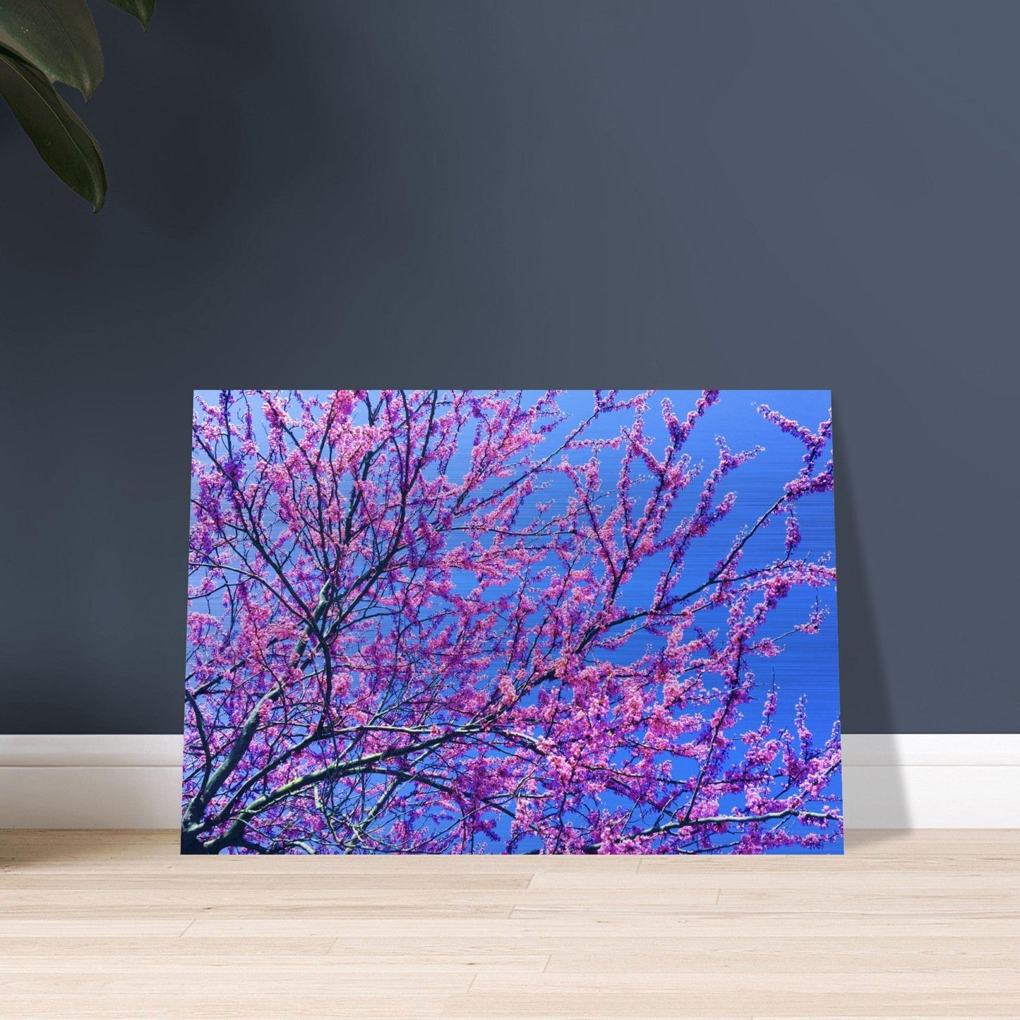 Sakura Trees Brushed Aluminum Print