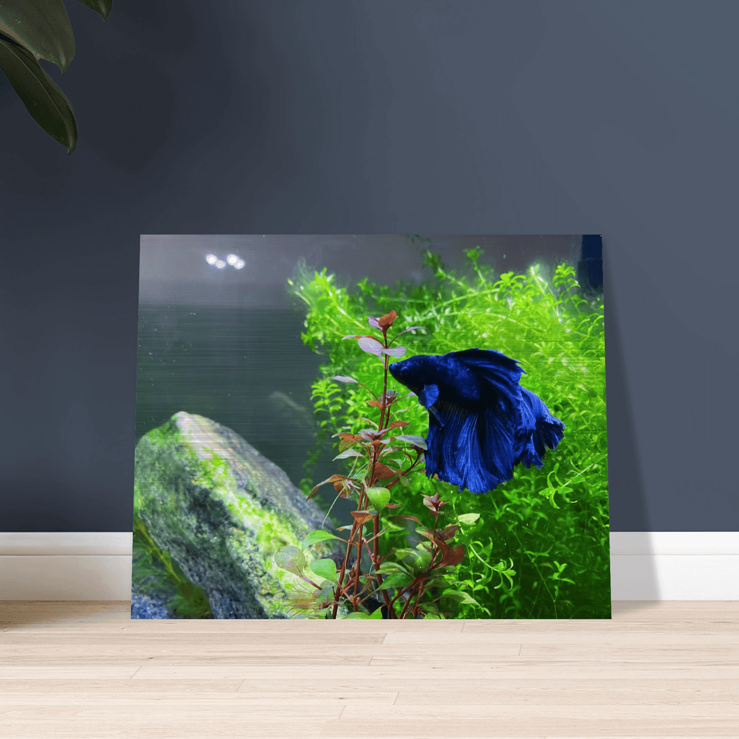 Bettakun Brushed Aluminum Print
