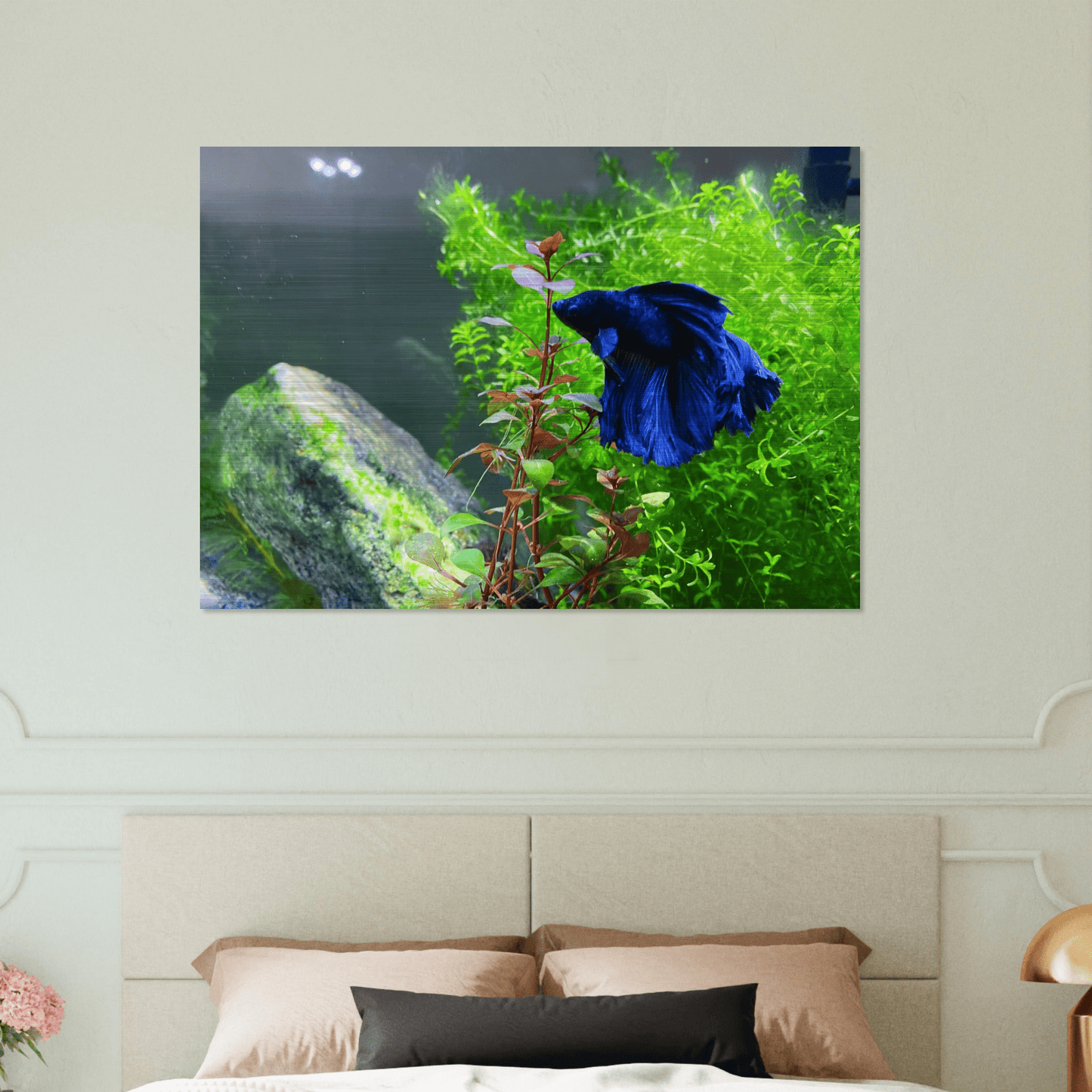 Bettakun Brushed Aluminum Print