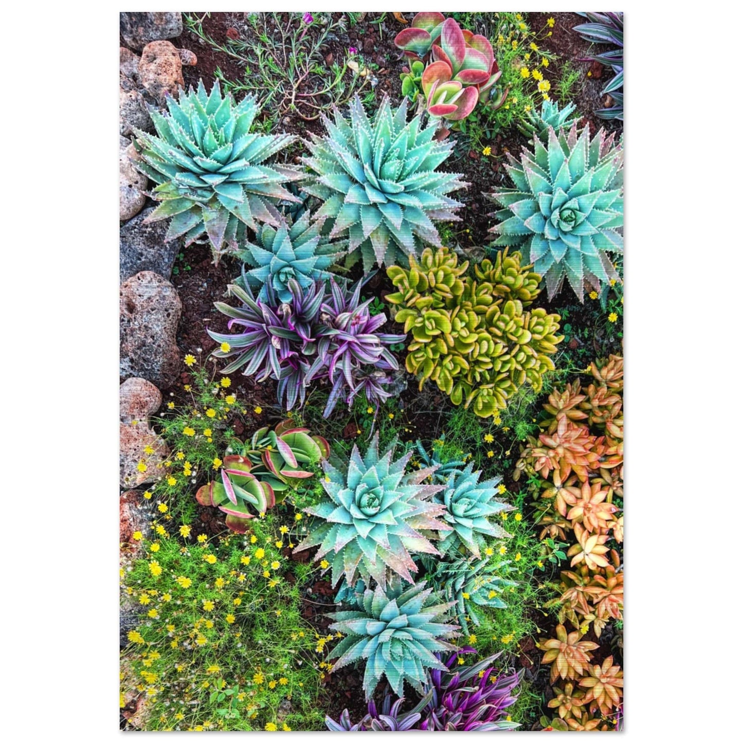 Cactus Mat Brushed Aluminum Print