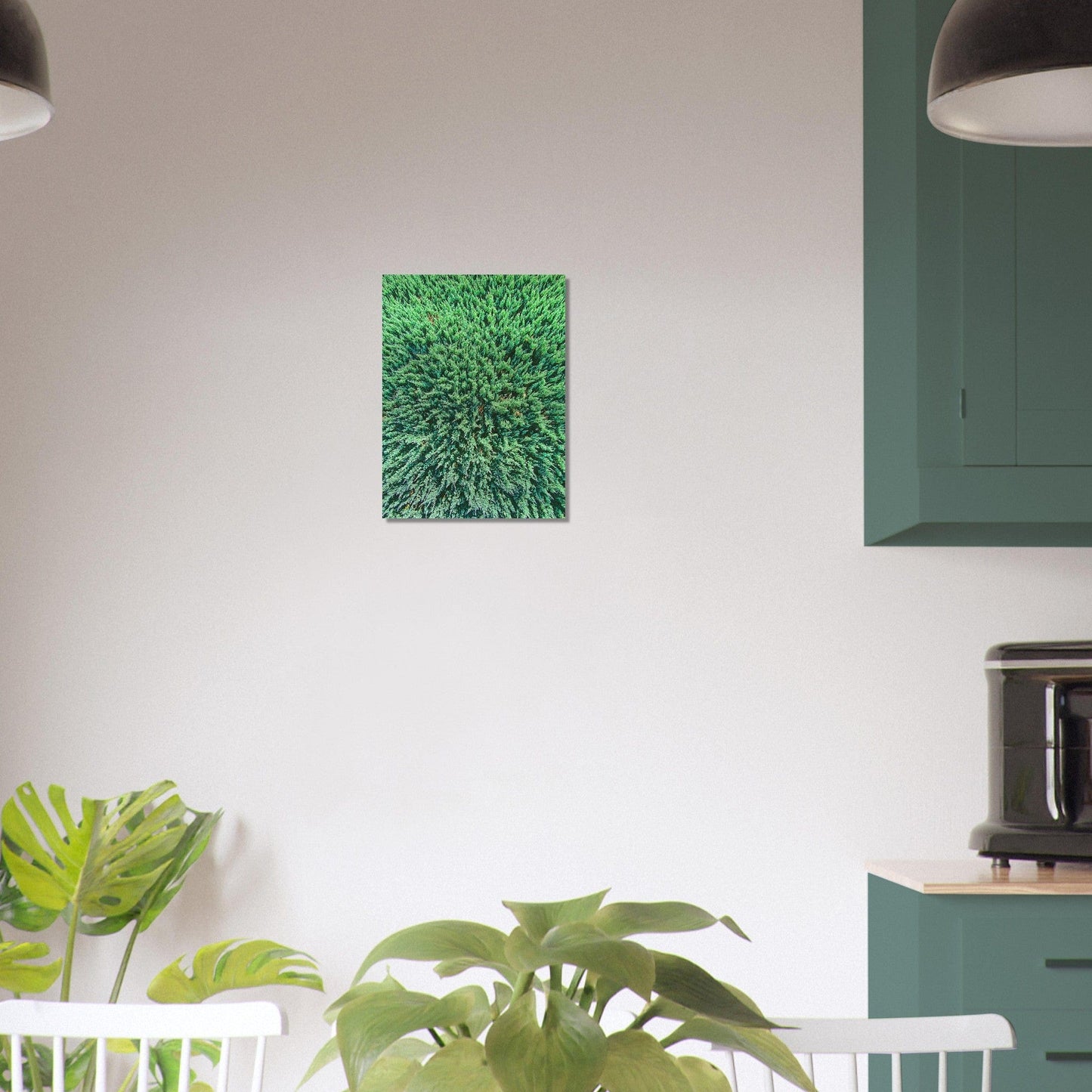 Evergreen Brushed Aluminum Print