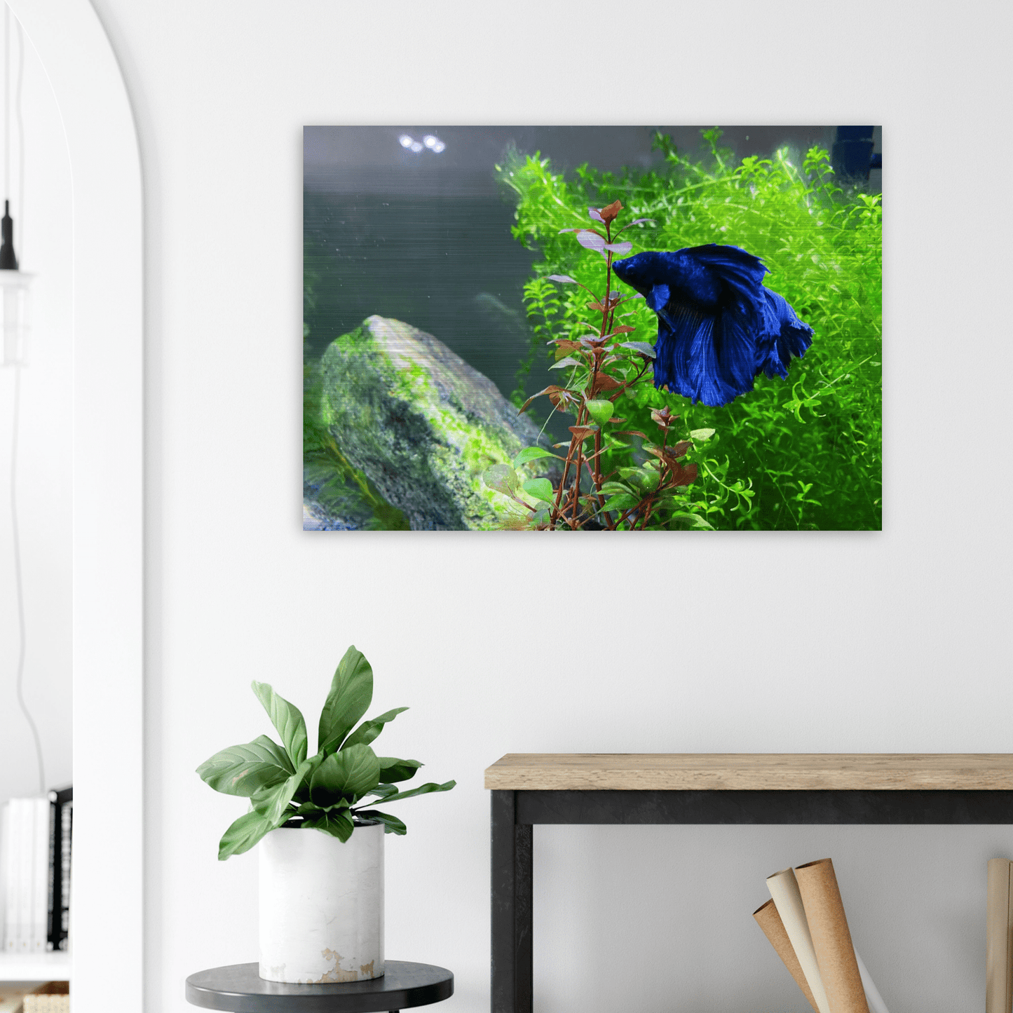 Bettakun Brushed Aluminum Print