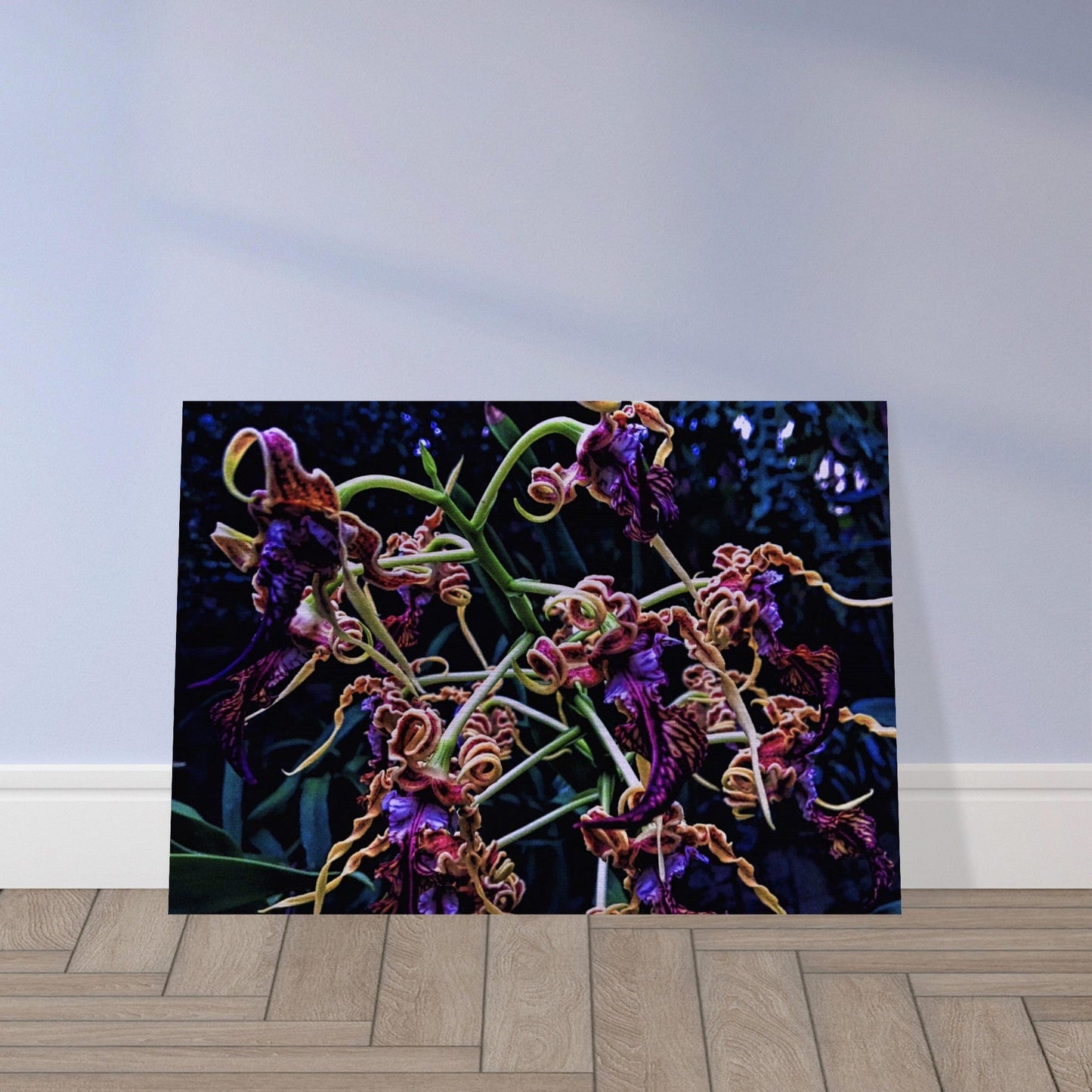 Orchidia Brushed Aluminum Print