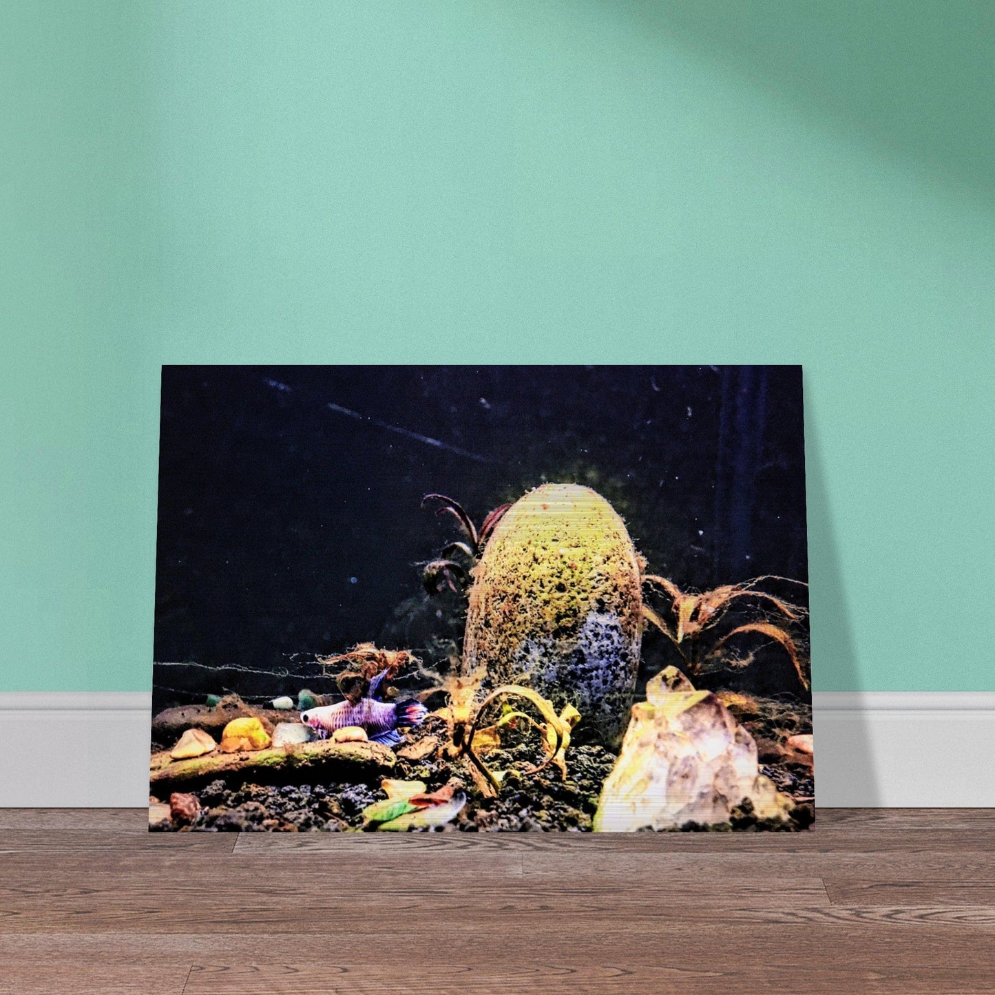 Violet Queen Veiltail Betta Piu Piu Chan Brushed Aluminum Print