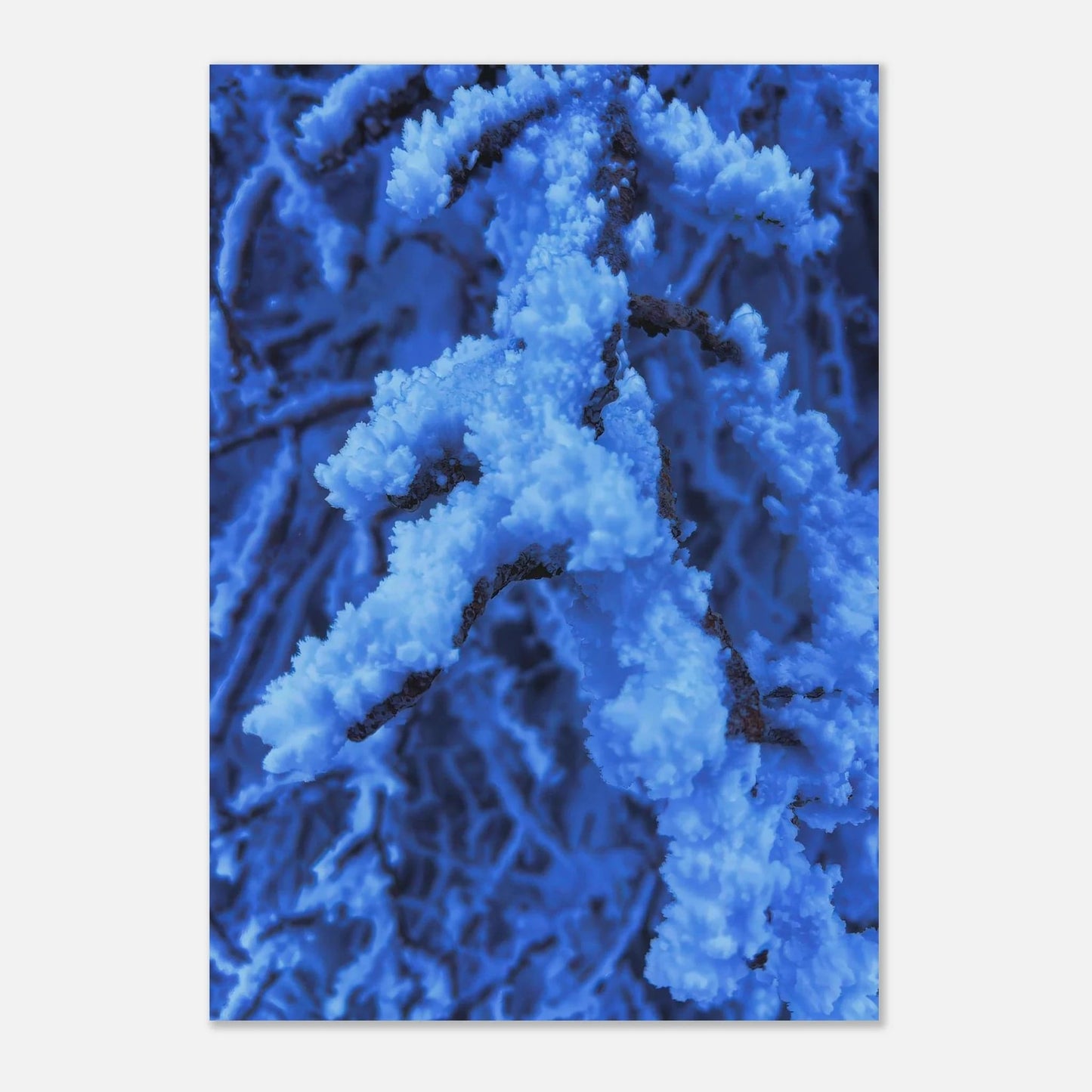 6c64b5eb-d97b-4a94-85c7-1a1b355b942a
