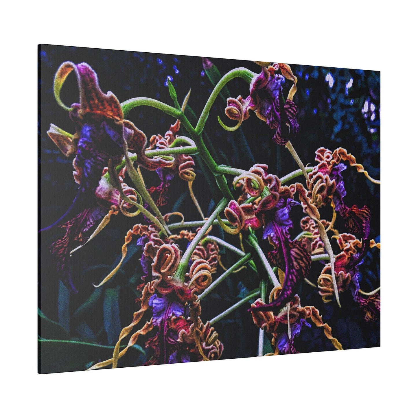 Orchidia Matte Canvas Print - PUYAVENUSTA