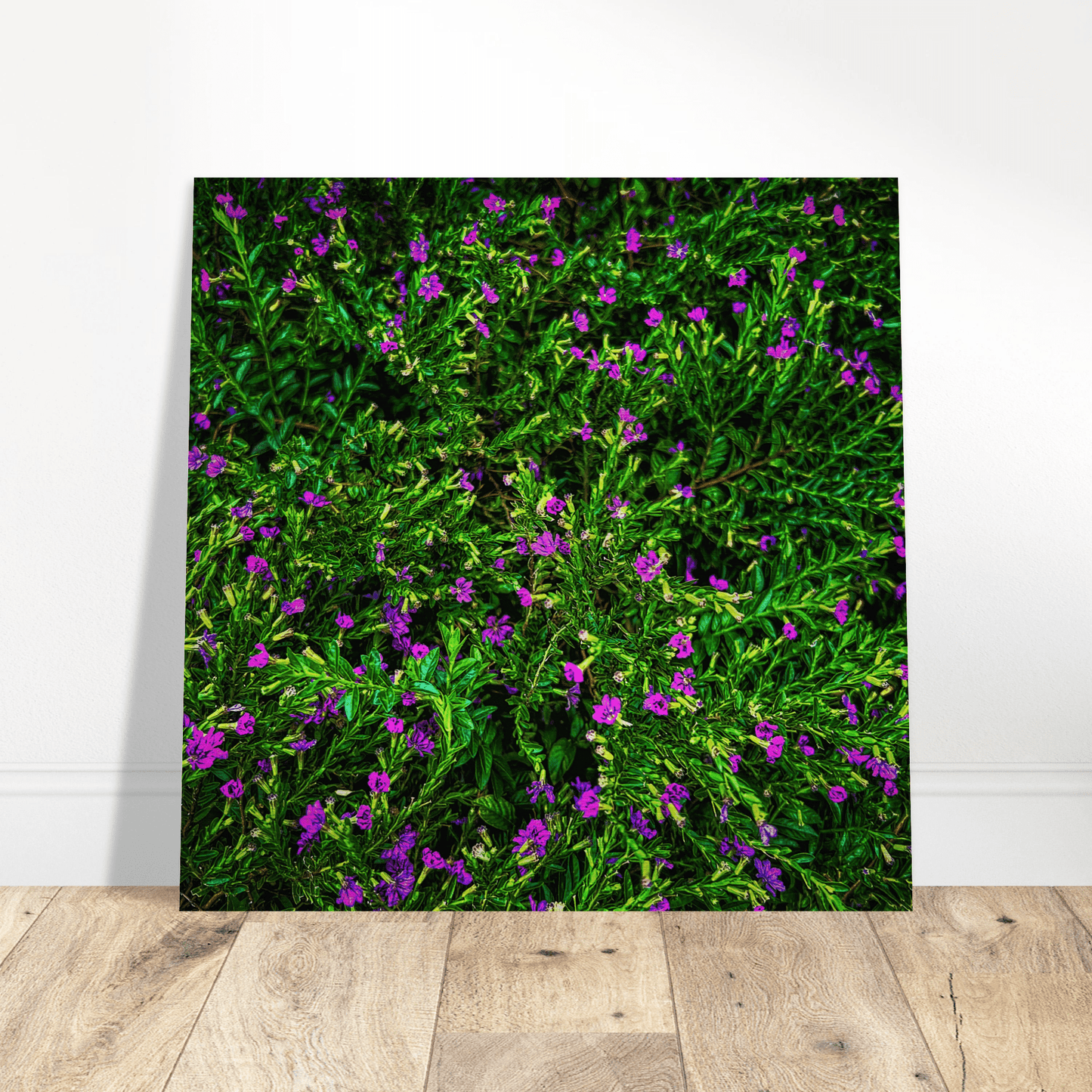 Green N Purpp Brushed Aluminum Print