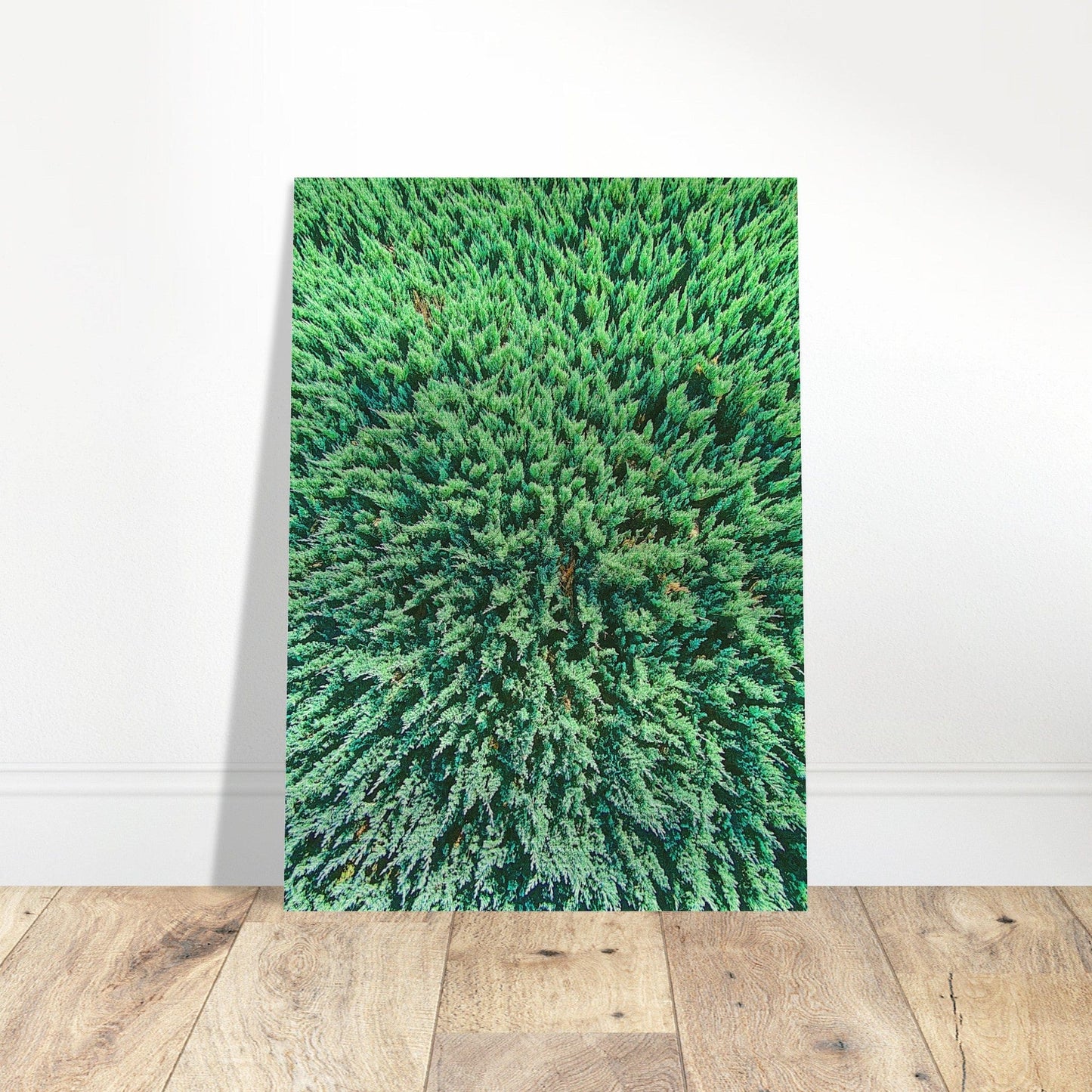 Evergreen Brushed Aluminum Print