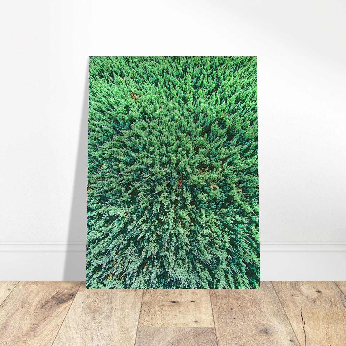 Evergreen Brushed Aluminum Print