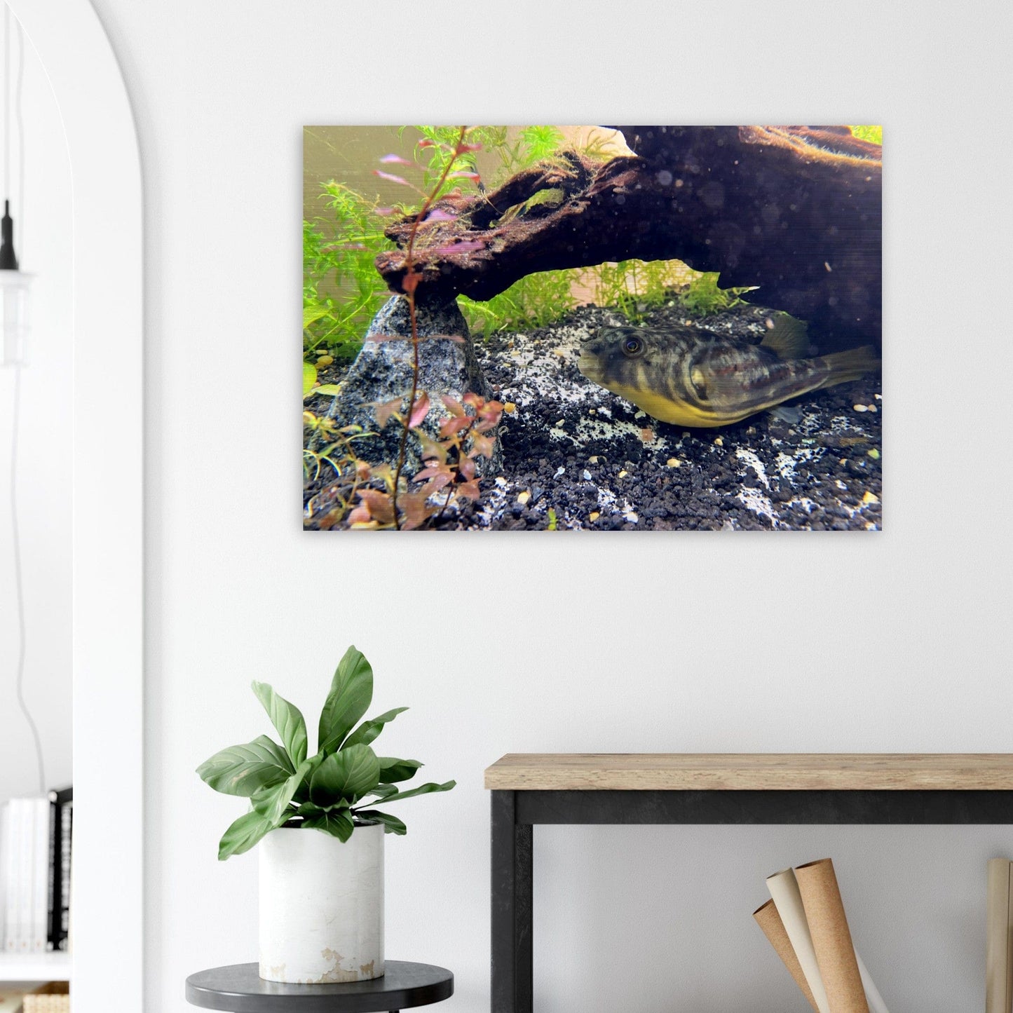 Fugukun Brushed Aluminum Print