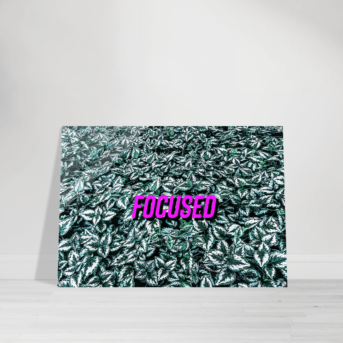FOCUSED Acrylic Print