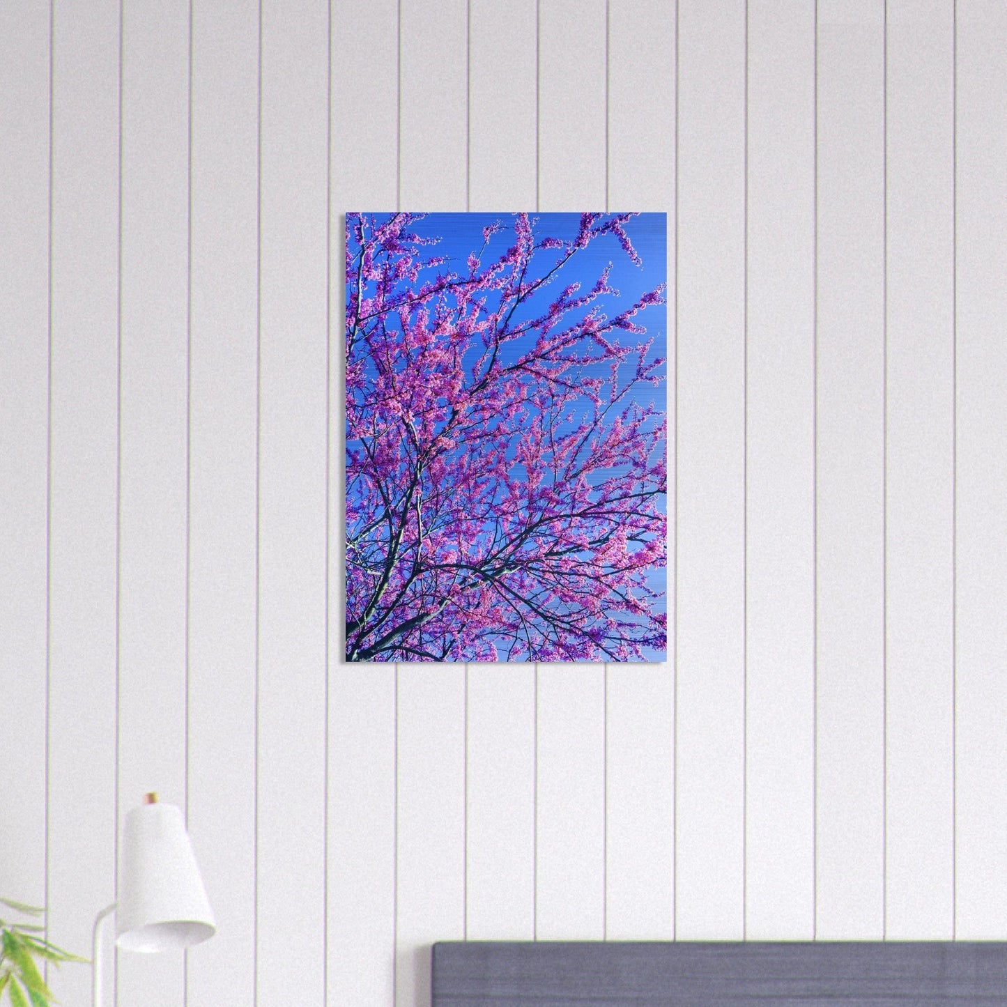 Sakura Trees Brushed Aluminum Print