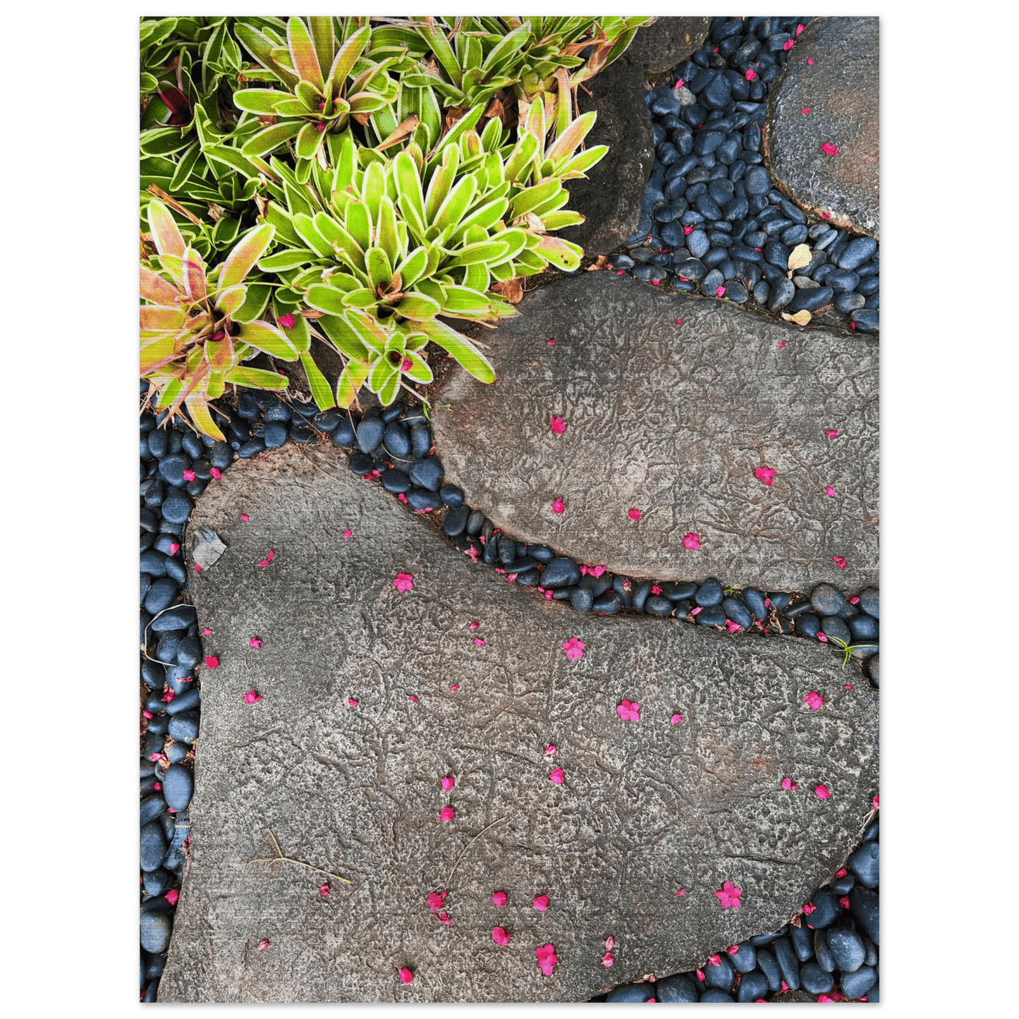 Steps in Paradise Brushed Aluminum Print