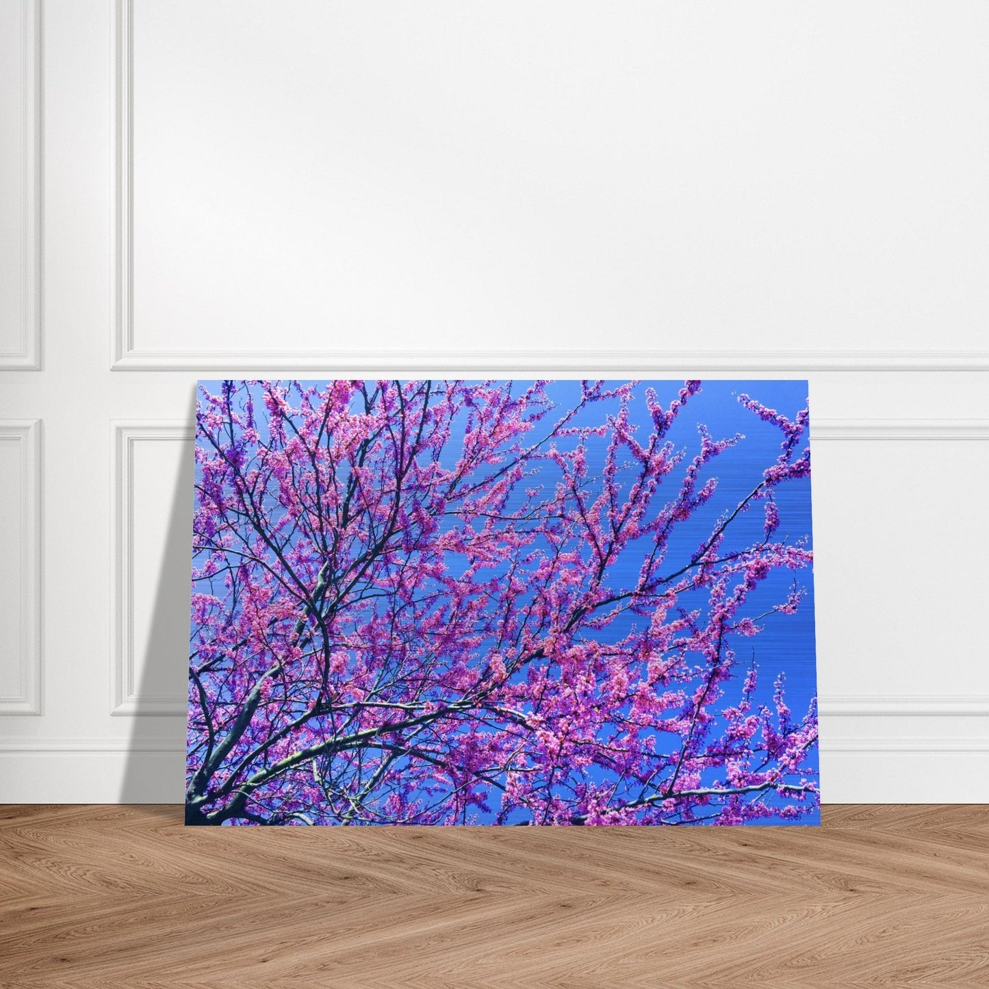 Sakura Trees Brushed Aluminum Print