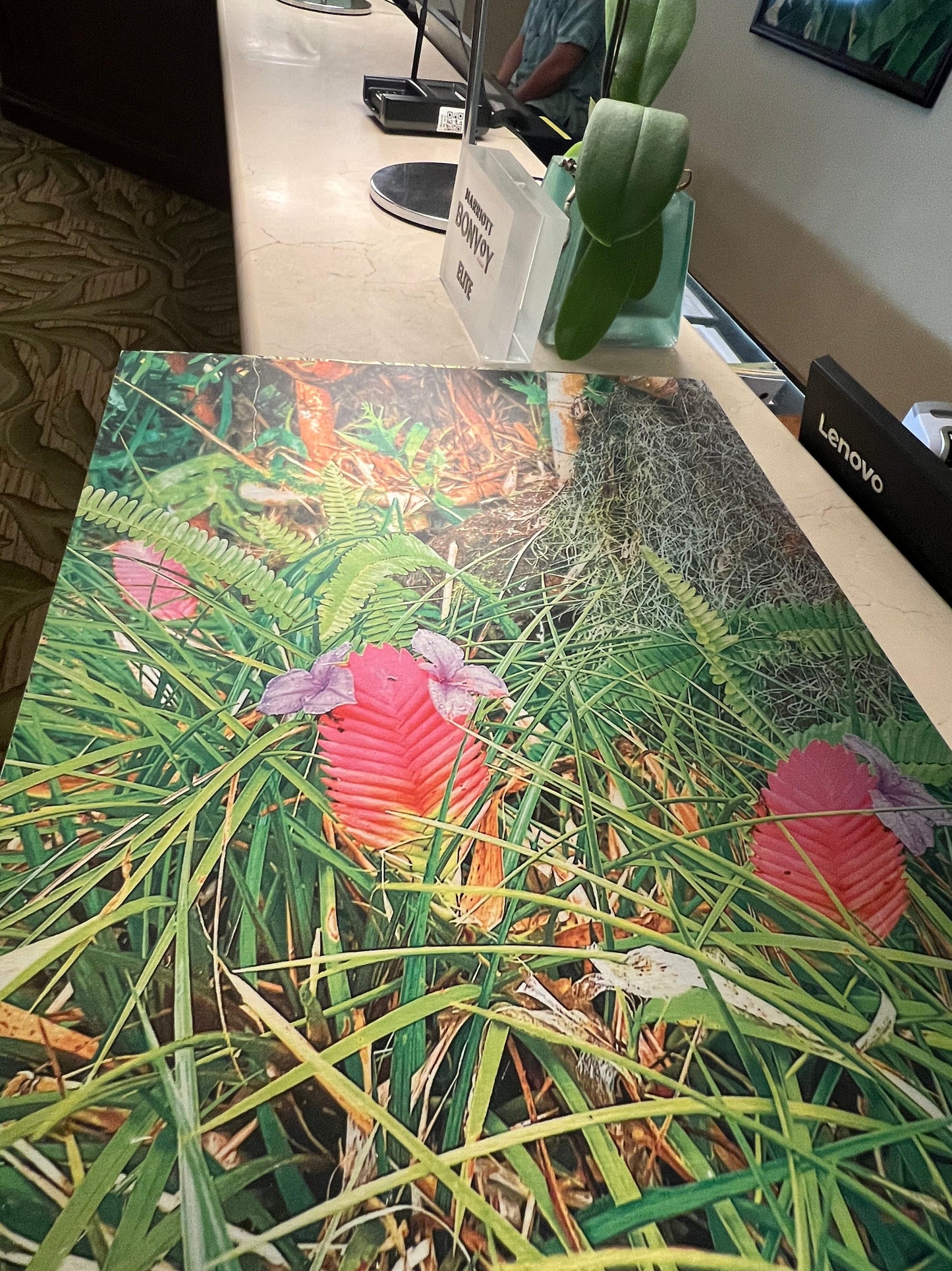 Triple Blossom Brushed Aluminum Print - PUYAVENUSTA