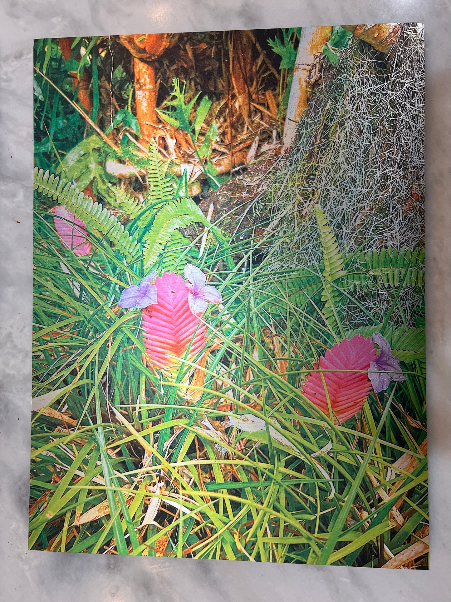Triple Blossom Brushed Aluminum Print - PUYAVENUSTA