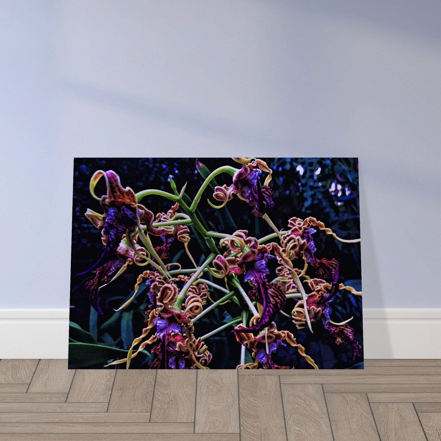 Orchidia Brushed Aluminum Print