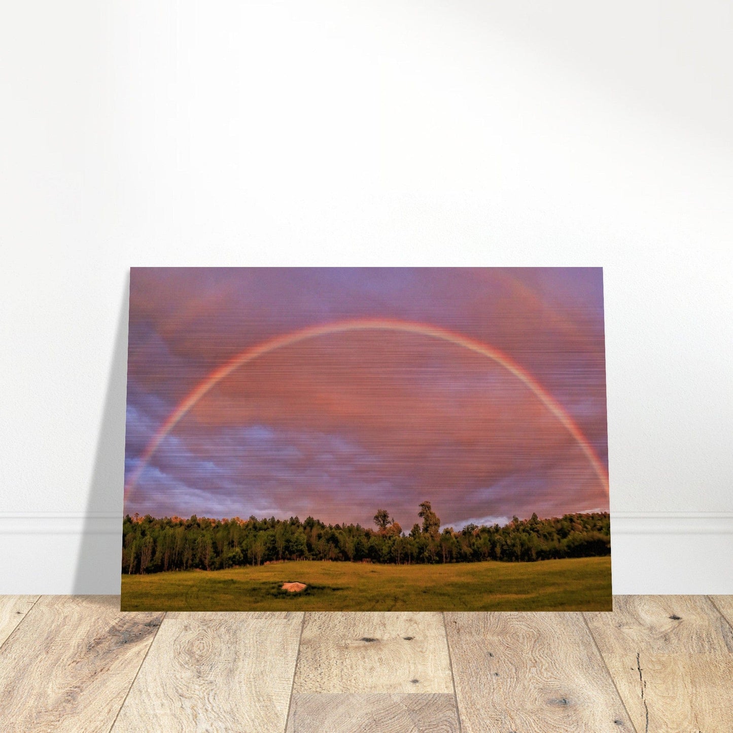 Double Rainbow Brushed Aluminum Print