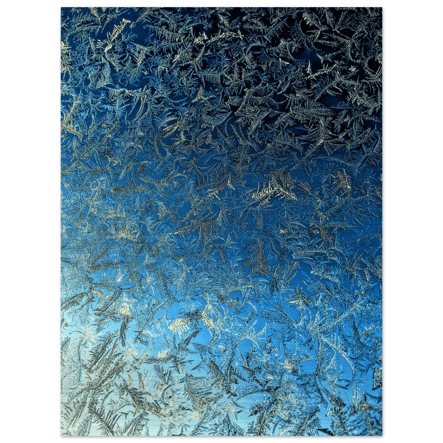 Frosted Skies Brushed Aluminum Print