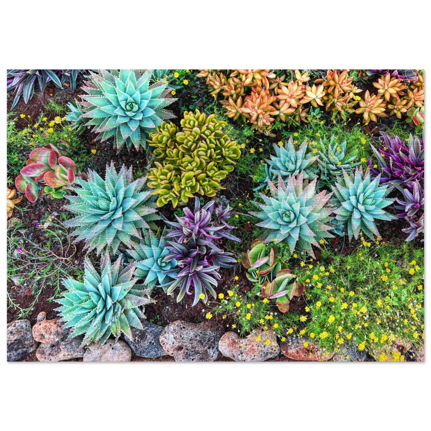 Cactus Mat Brushed Aluminum Print