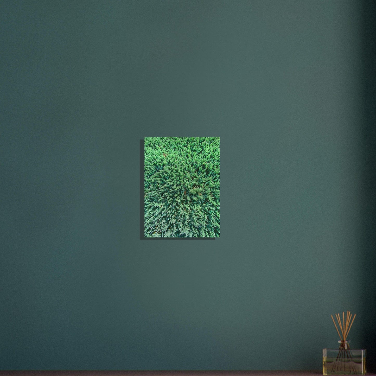 Evergreen Brushed Aluminum Print