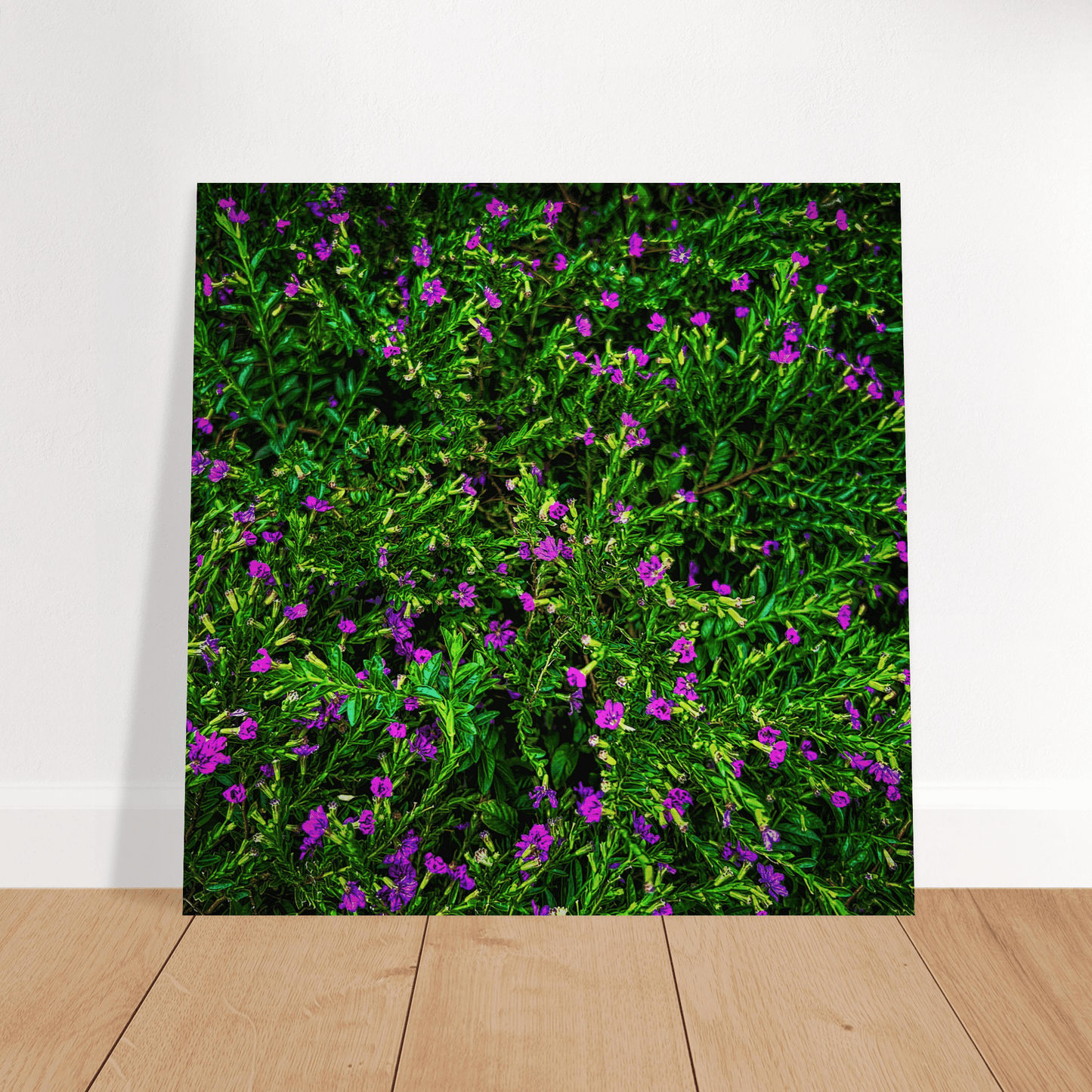 Green N Purpp Brushed Aluminum Print