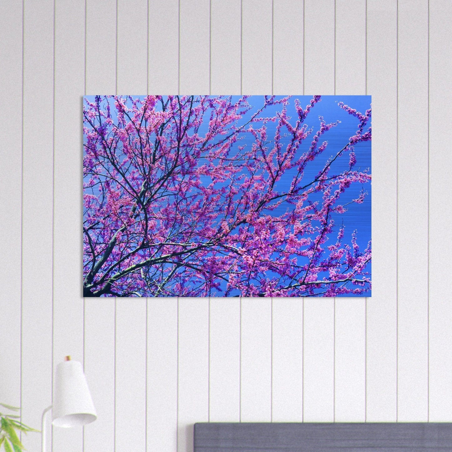 Sakura Trees Brushed Aluminum Print