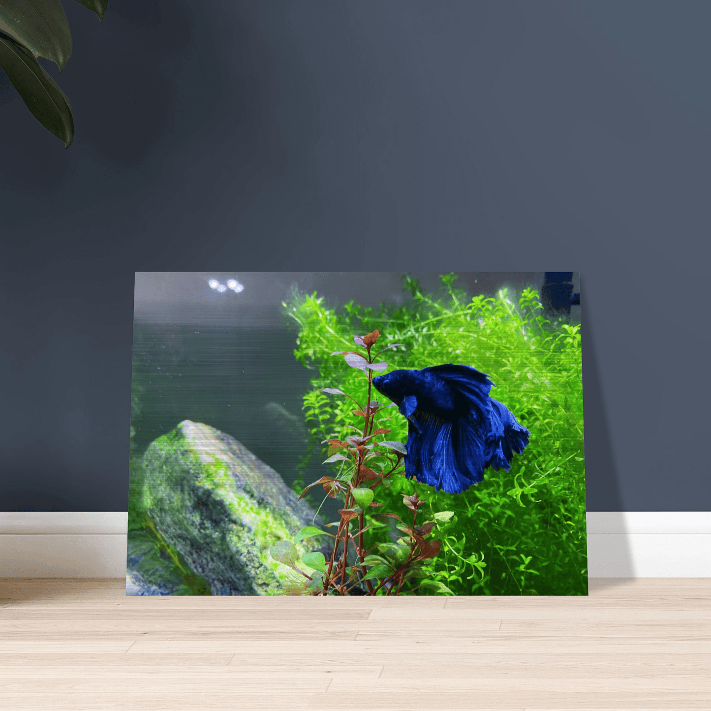 Bettakun Brushed Aluminum Print
