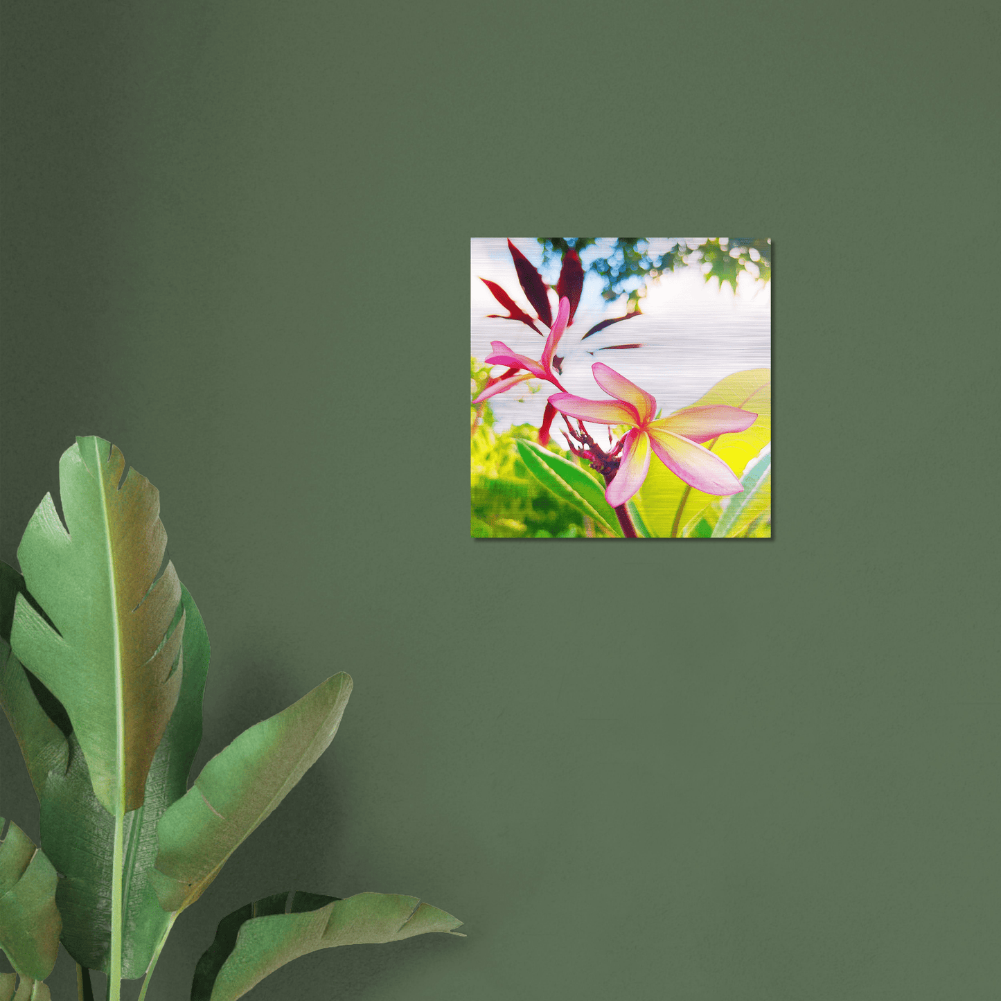Plumerion Brushed Aluminum Print