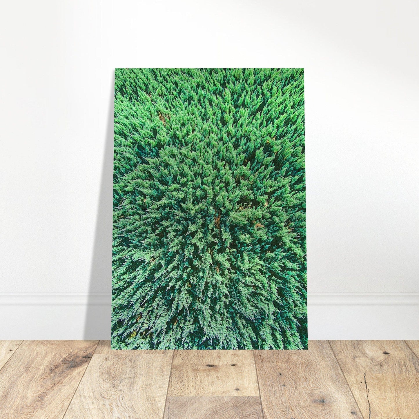 Evergreen Brushed Aluminum Print