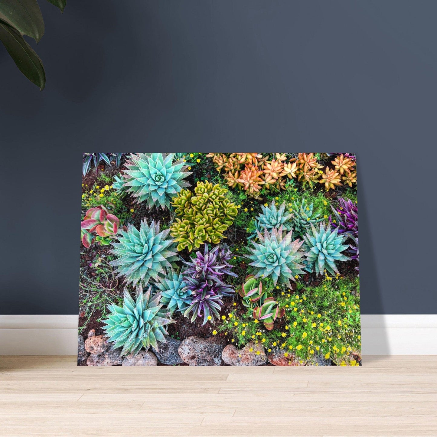 Cactus Mat Brushed Aluminum Print