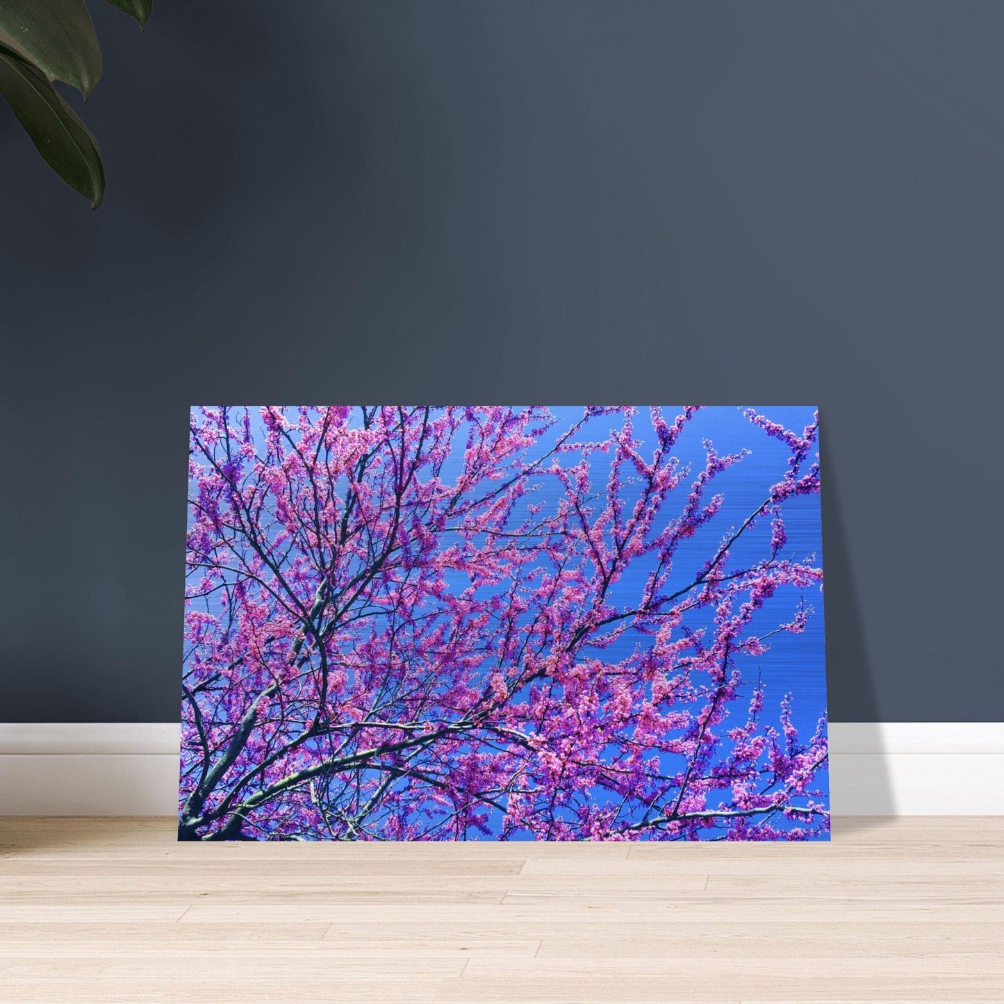 Sakura Trees Brushed Aluminum Print