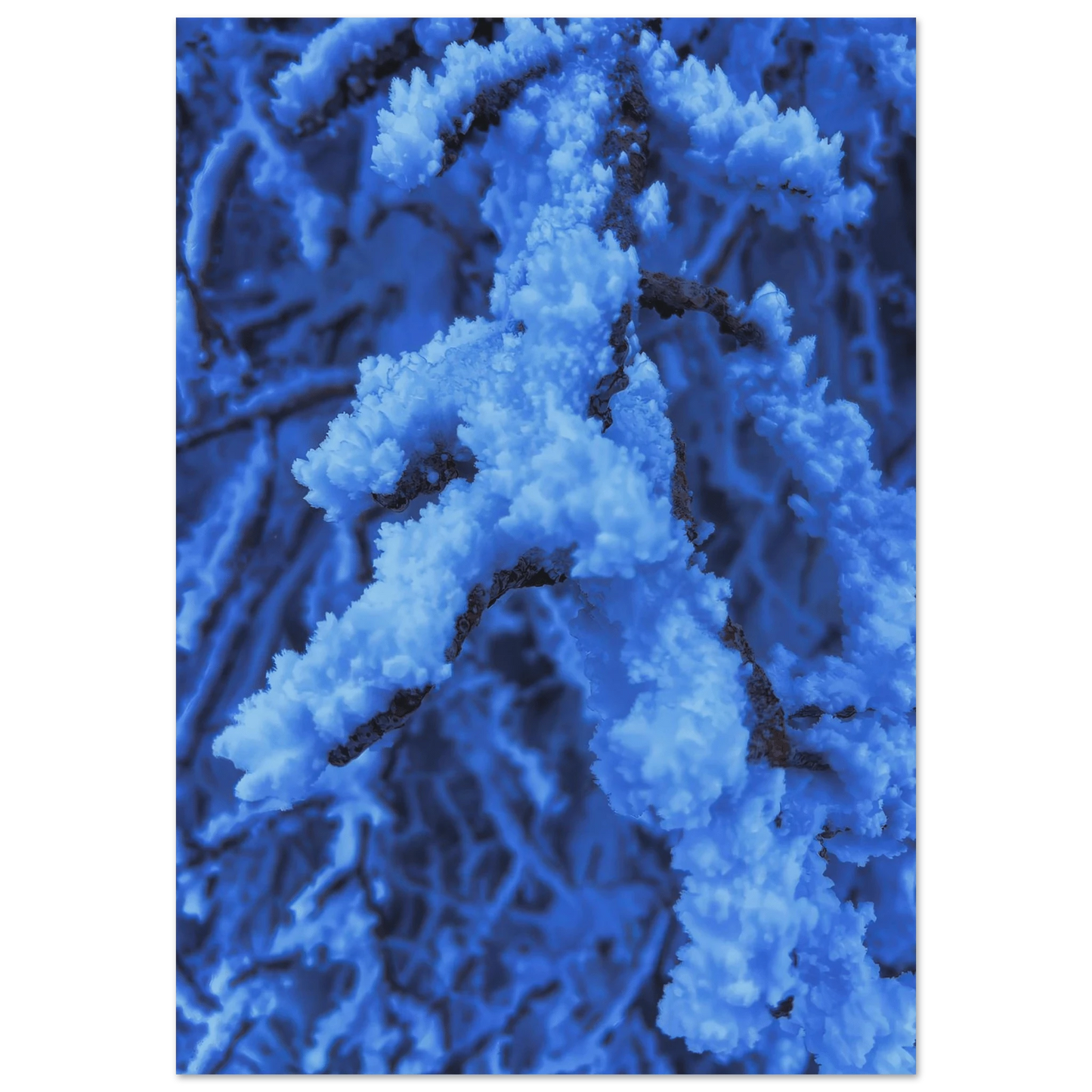 e4b944a4-2be3-4f25-b496-faf5c470c399