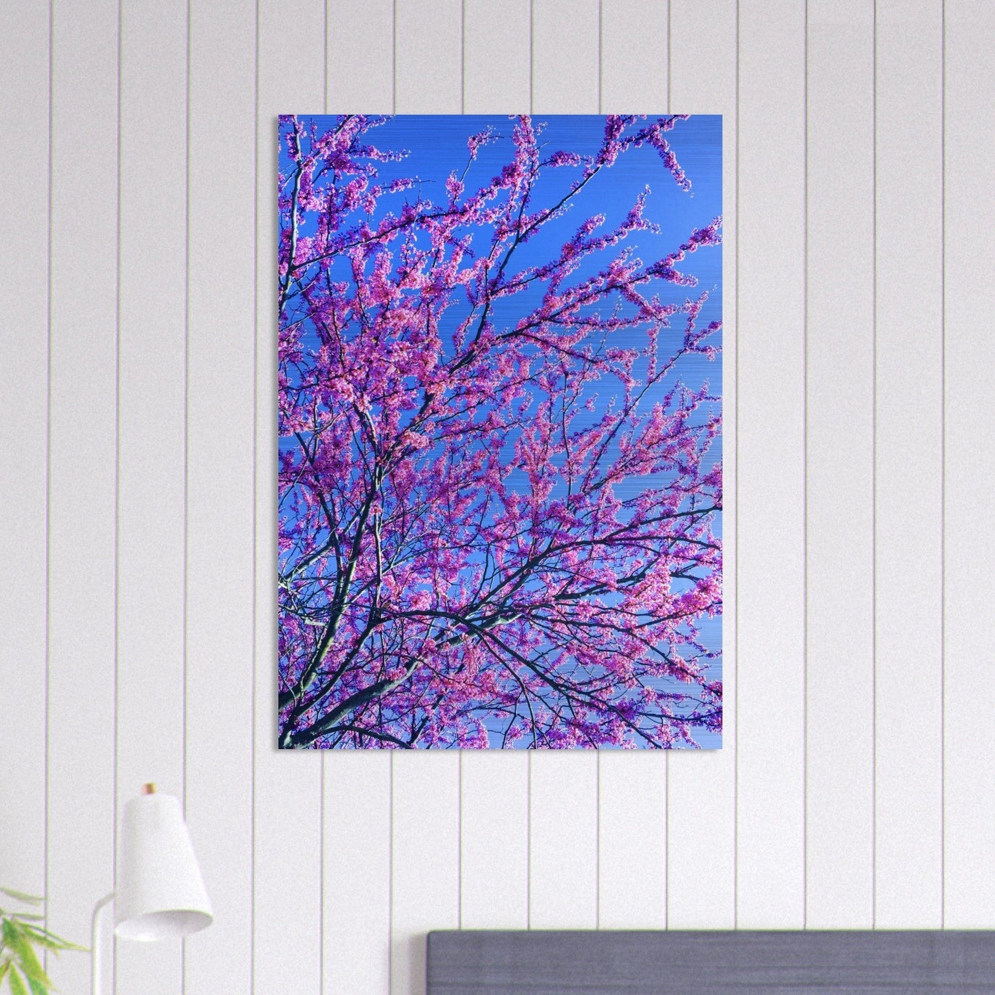 Sakura Trees Brushed Aluminum Print