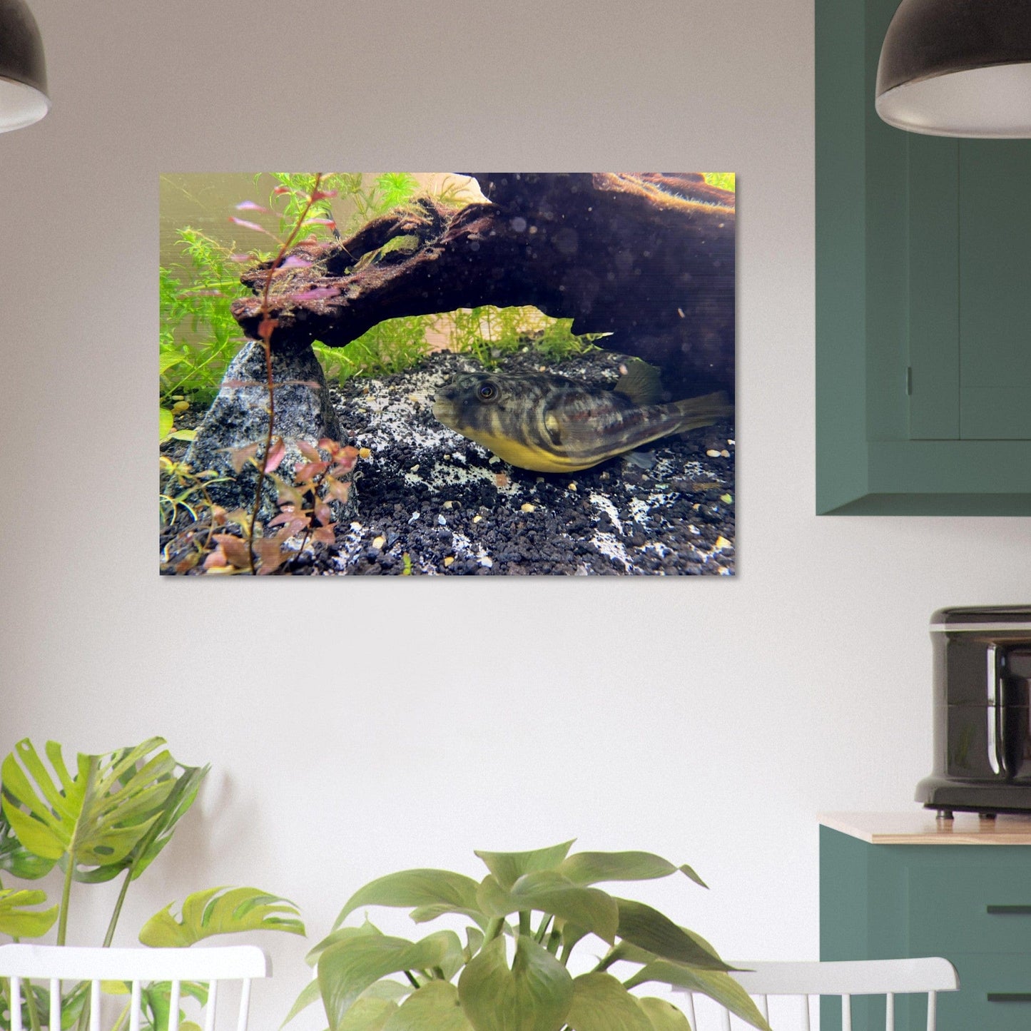 Fugukun Brushed Aluminum Print
