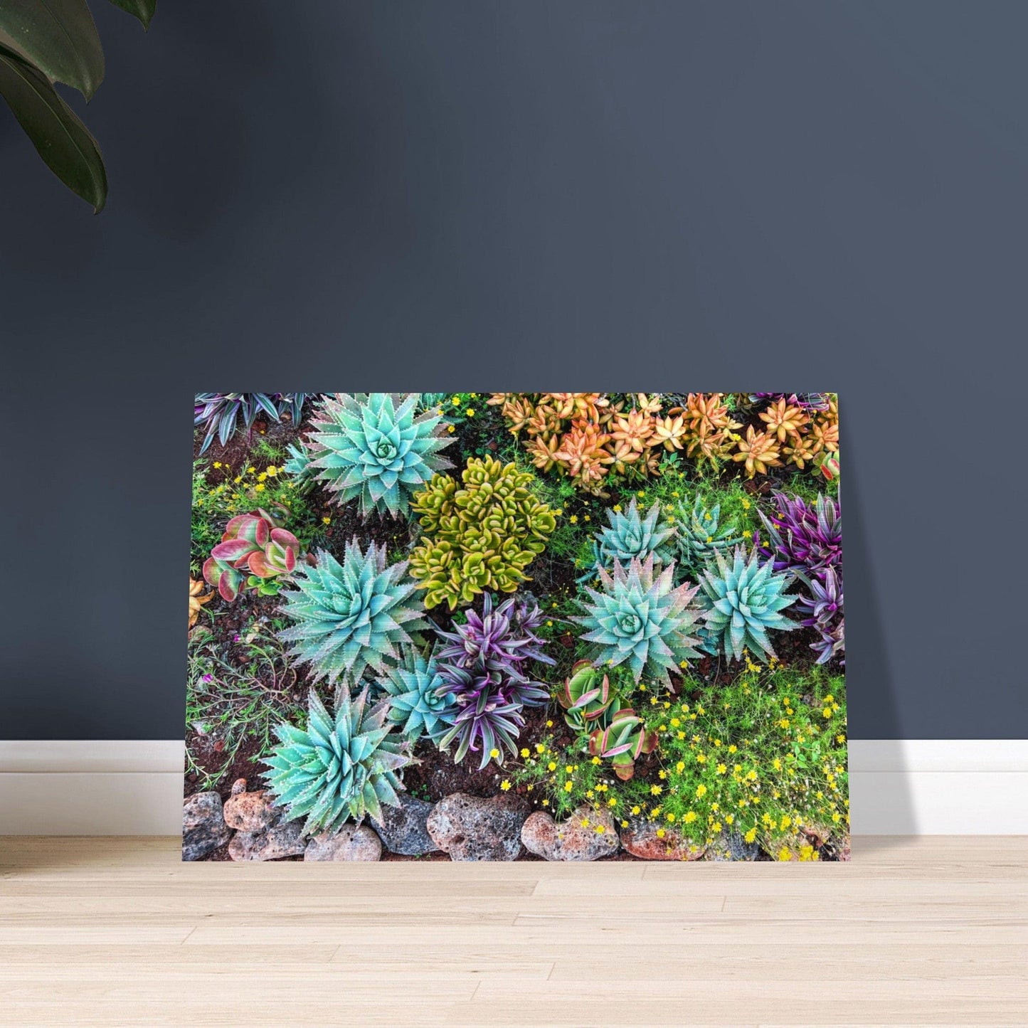 Cactus Mat Brushed Aluminum Print