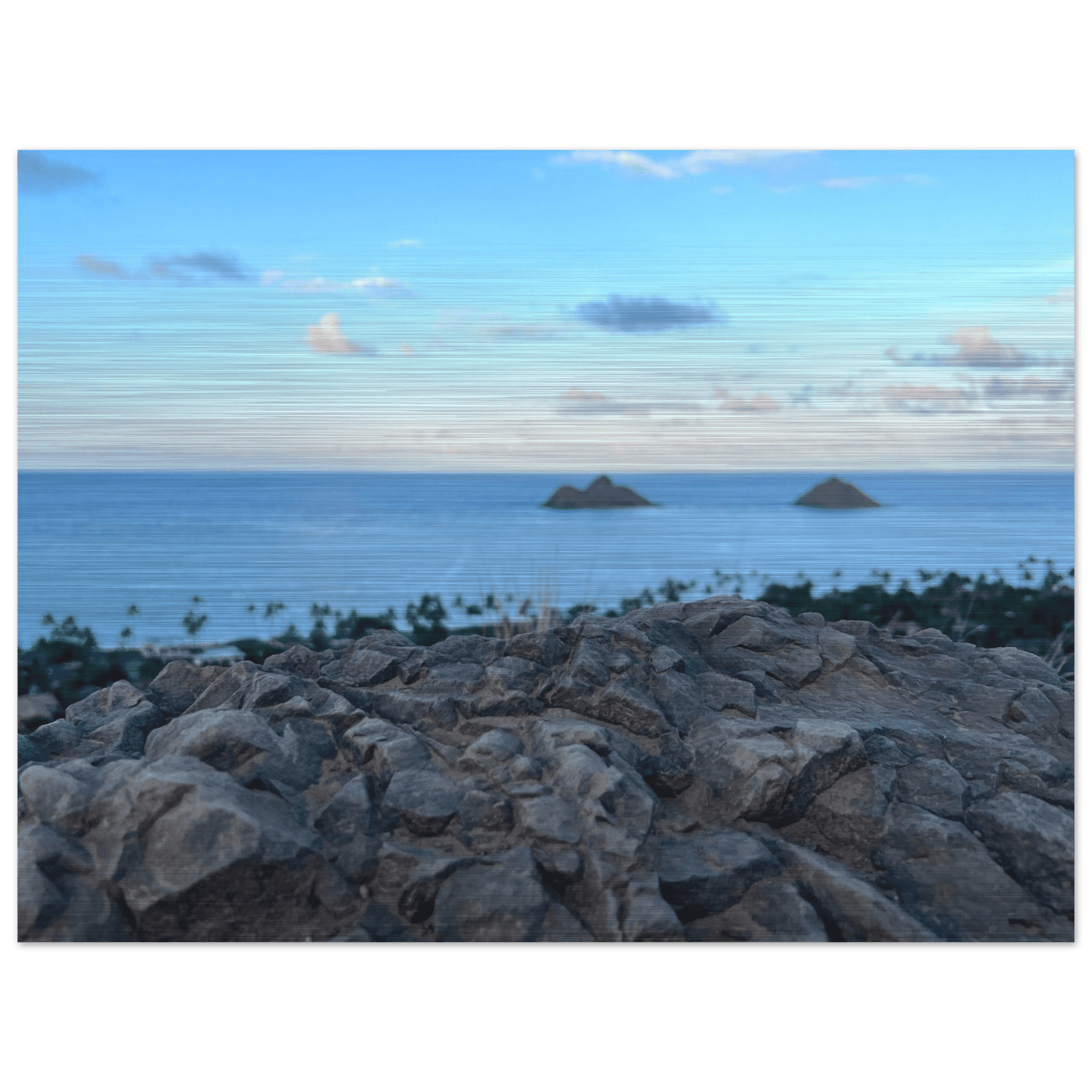 Cliff Home Brushed Aluminum Print