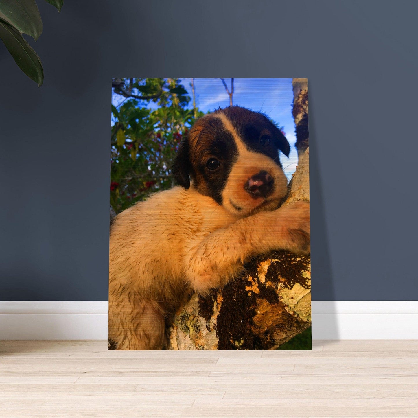 Kerochan Brushed Aluminum Print