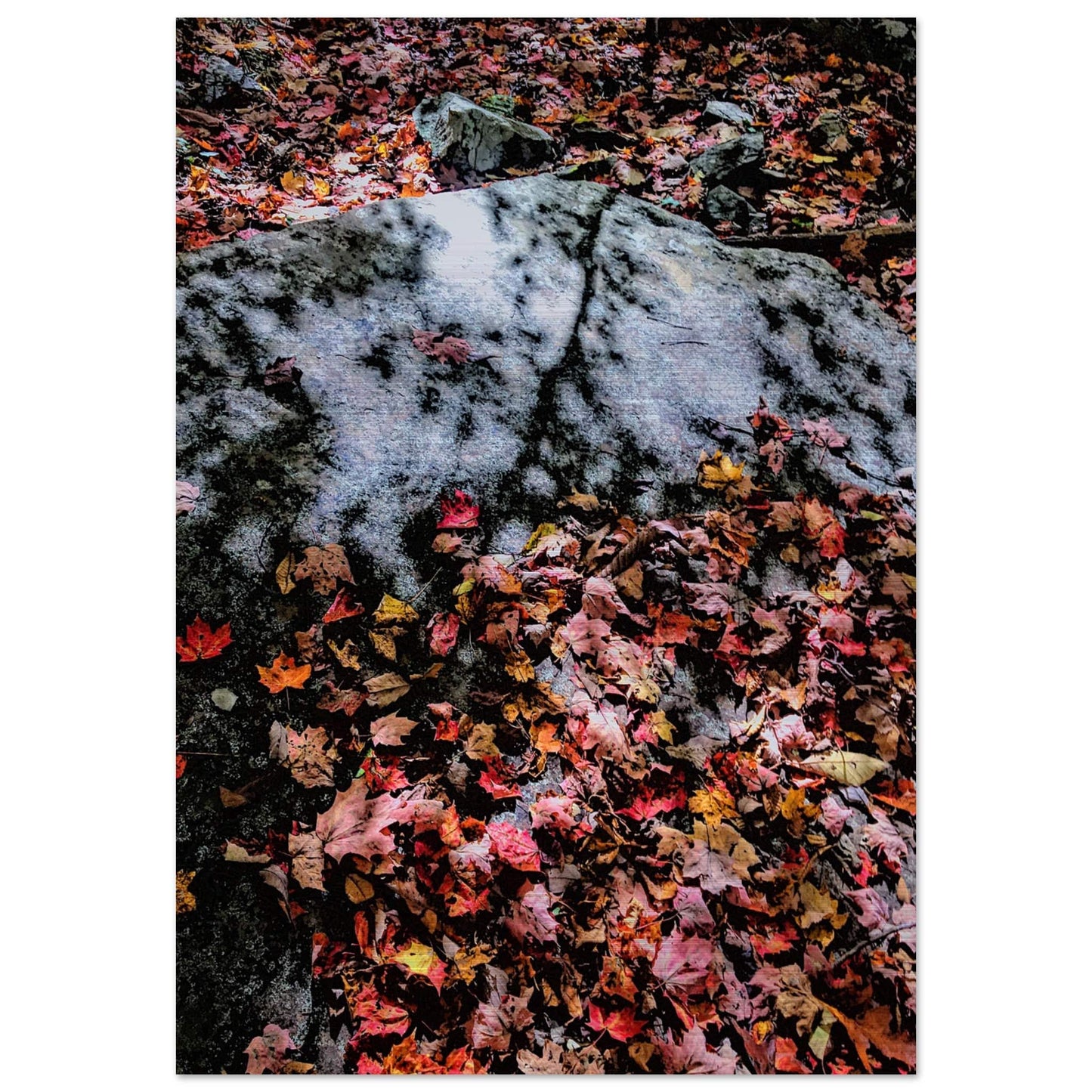 Autumn Flames Brushed Aluminum Print