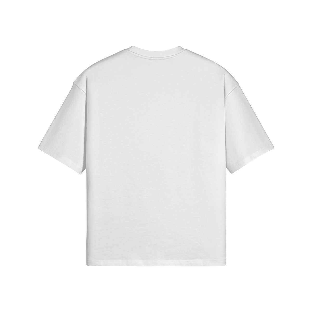 SWISS WINTER - PREMIUM COTTON BOXY T-SHIRT - PUYAVENUSTA