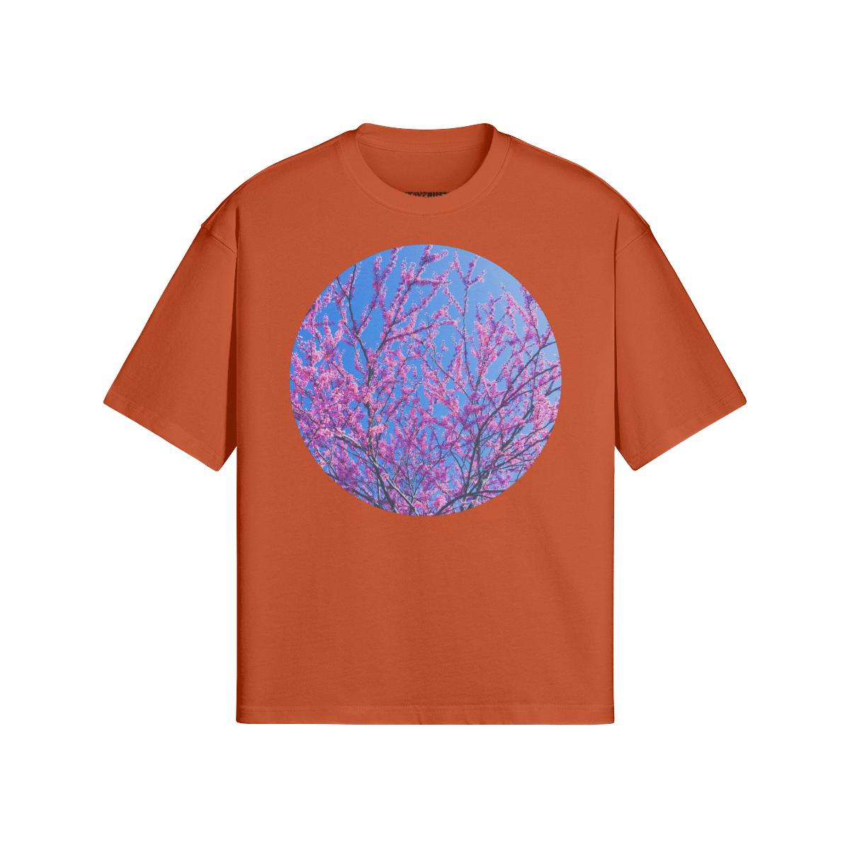 Sakura Globe - PuyaVenusta