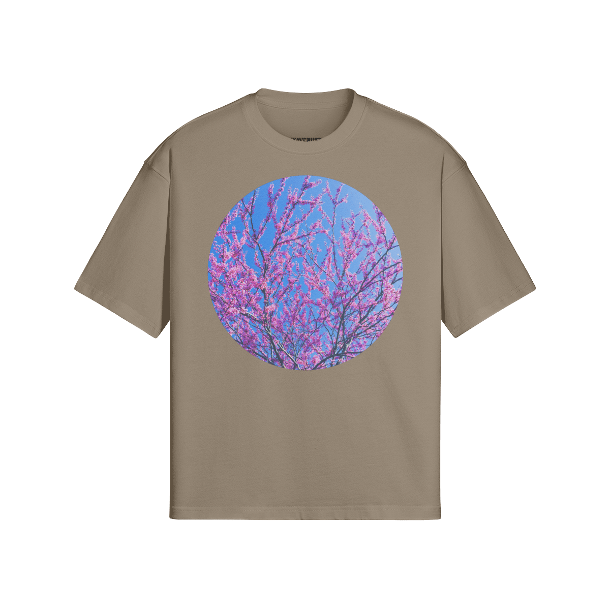 Sakura Globe - PuyaVenusta